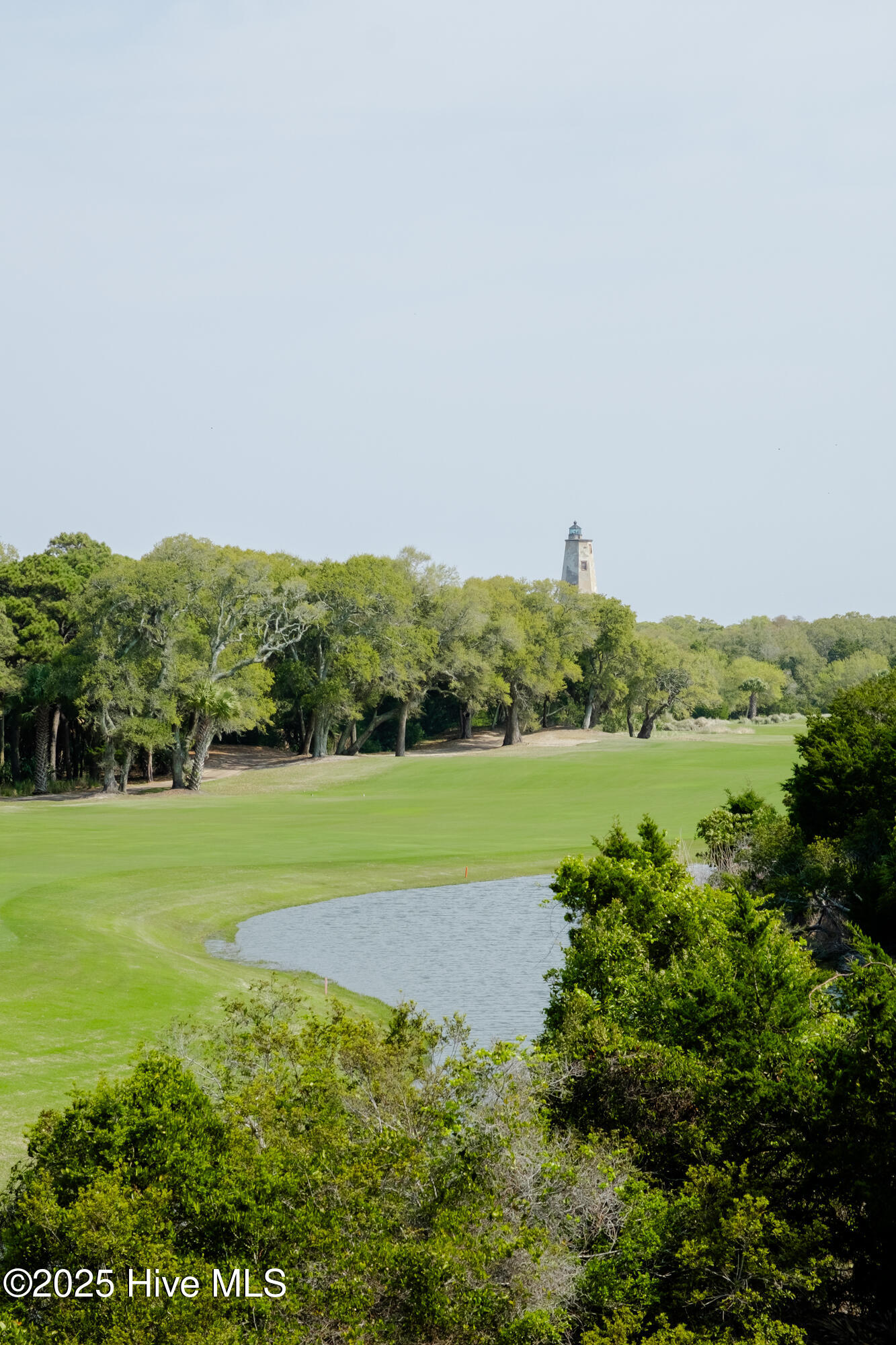 100517307 | Photo 34