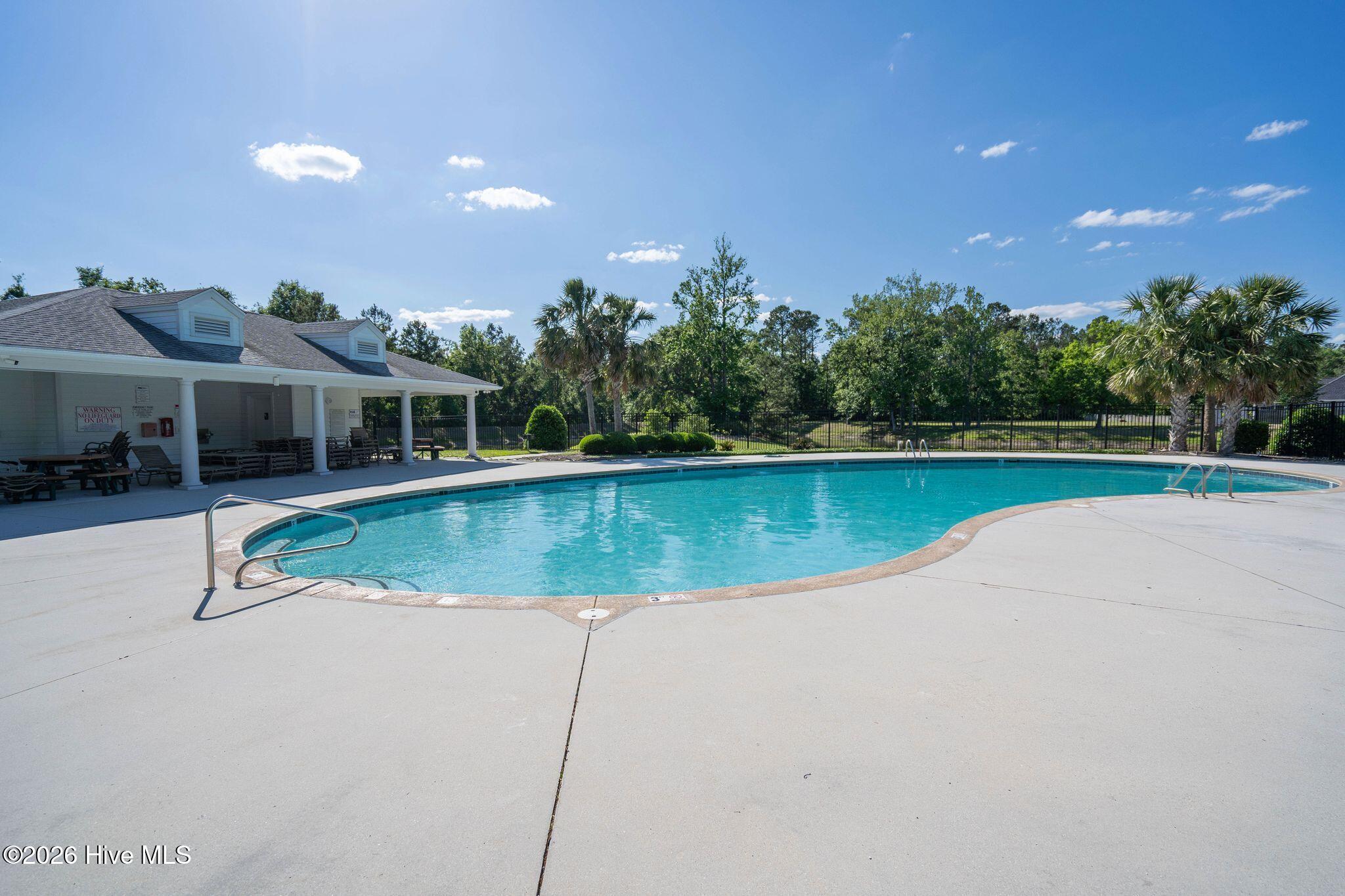 100567586 | Photo 51