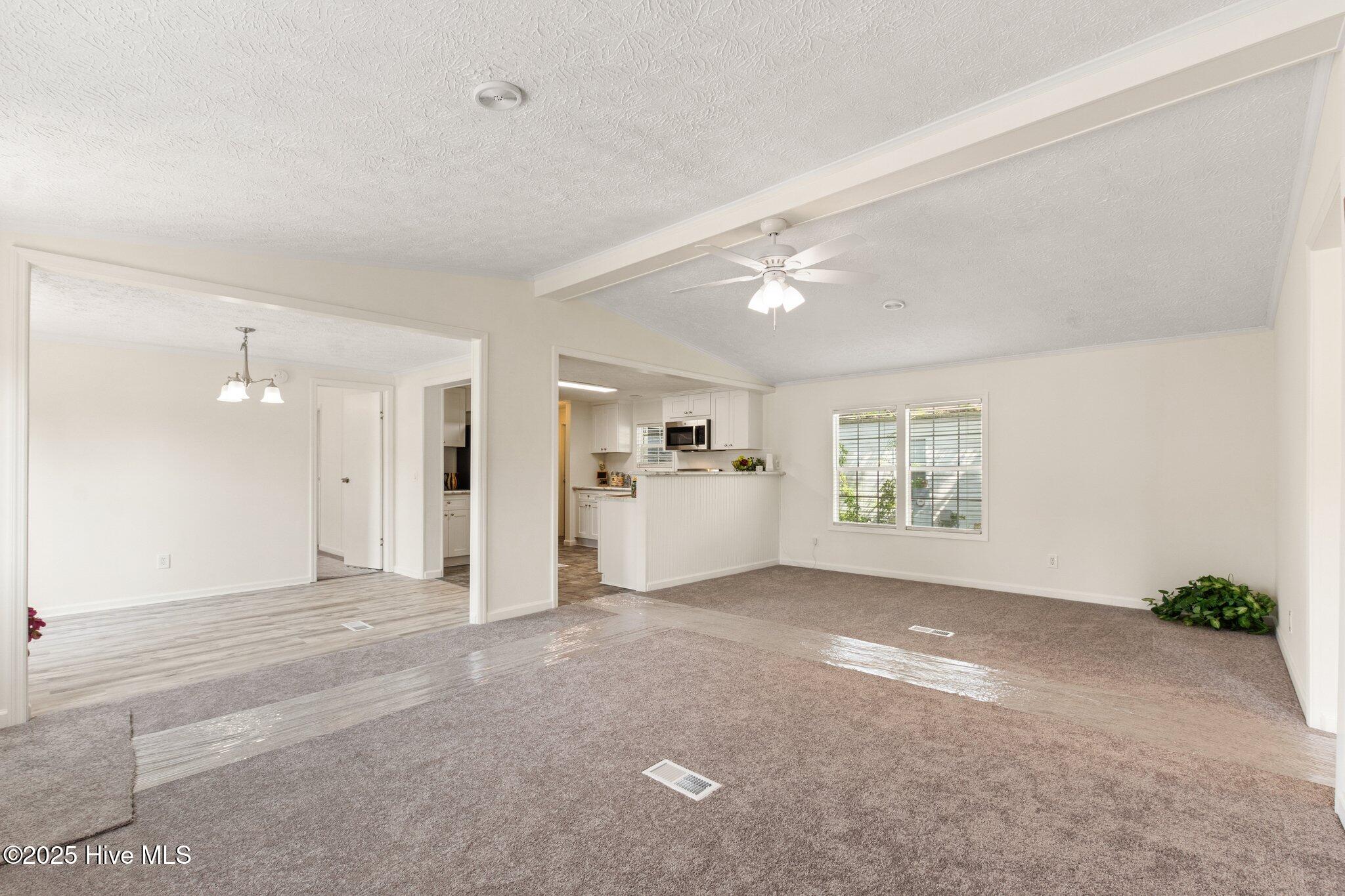 Living room/Dining room/Kitchen