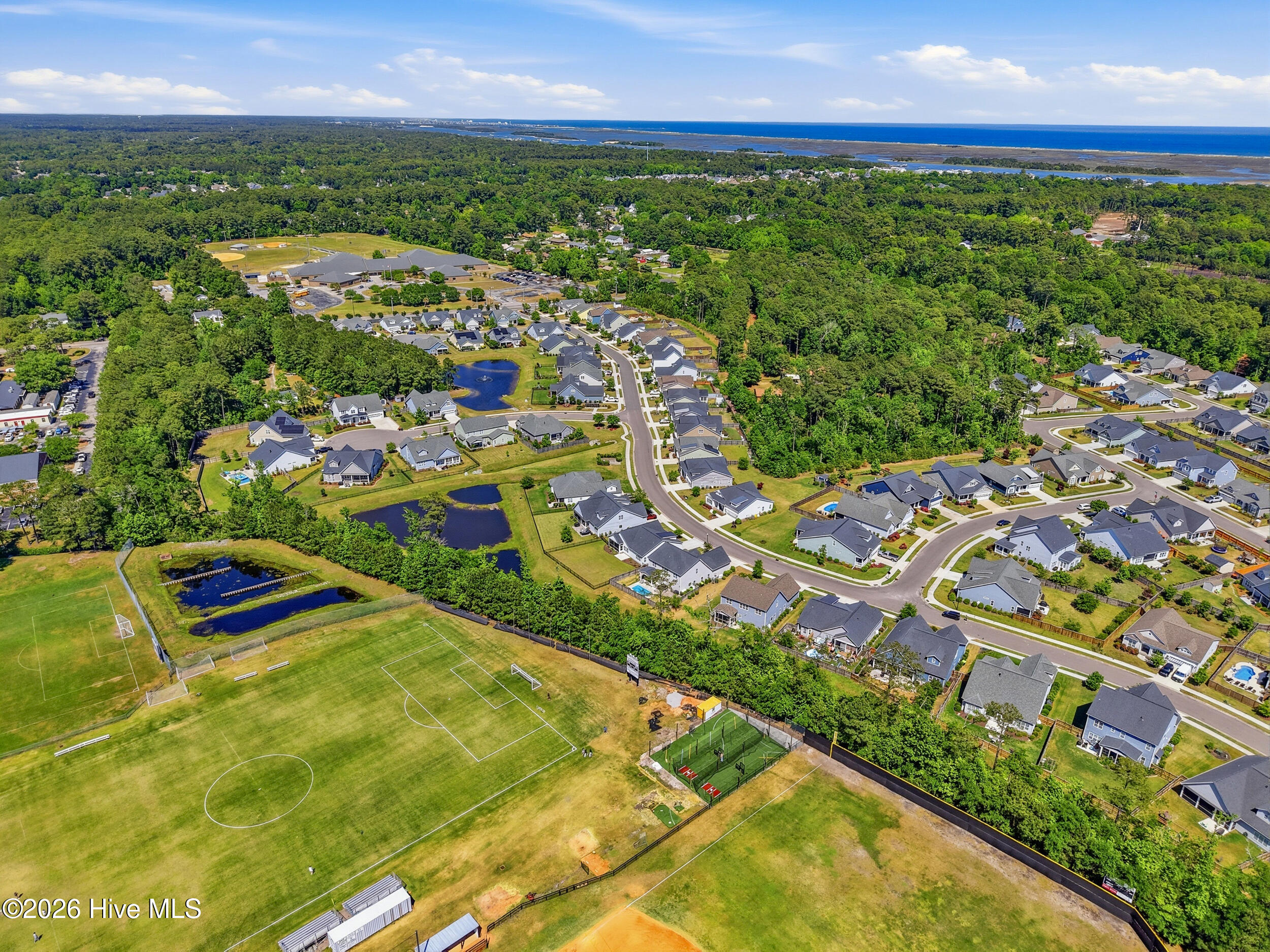 100570242 | Photo 35