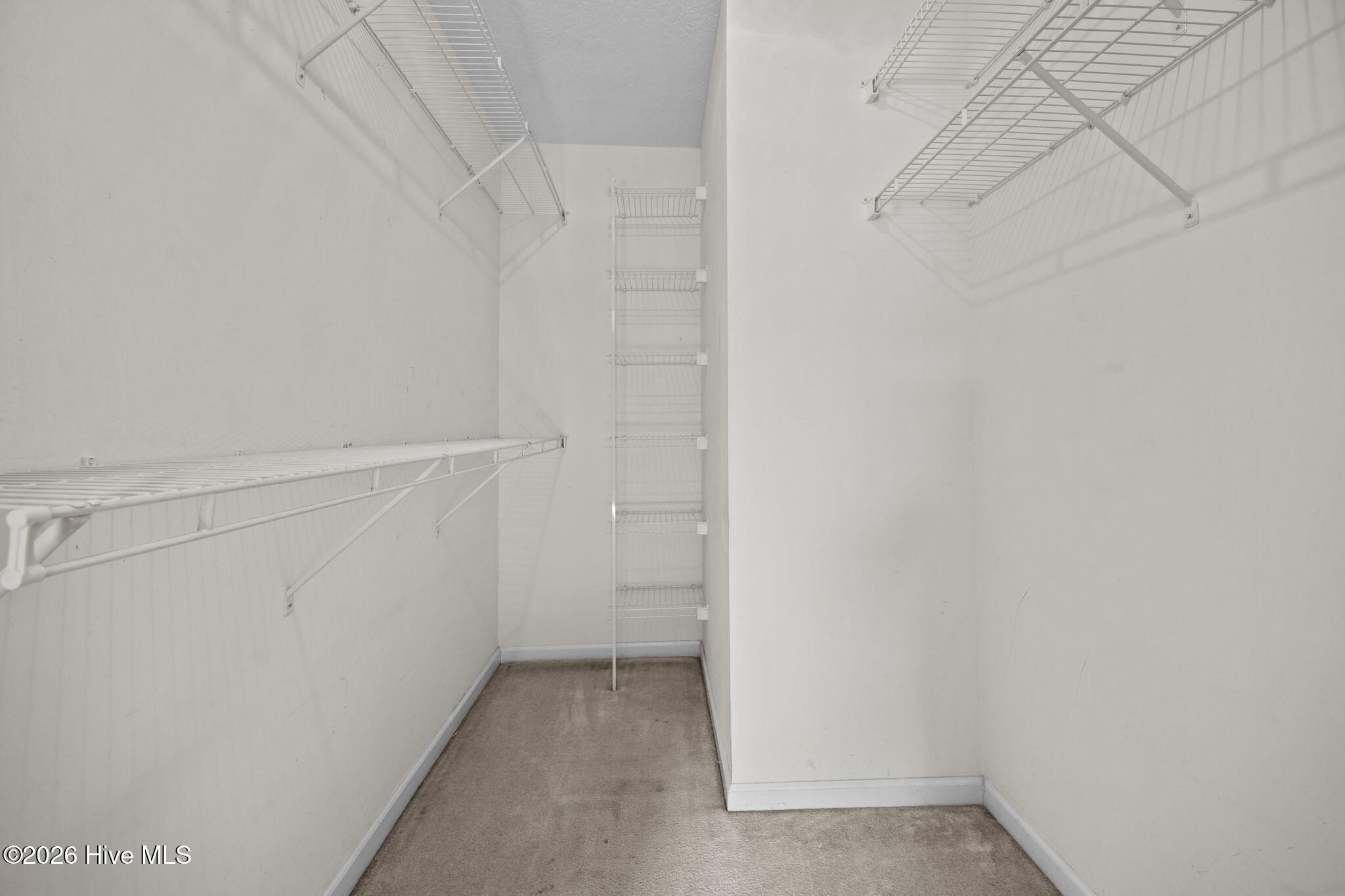 100550152 | Photo 22