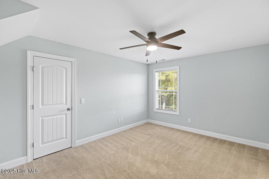 100535283 | Photo 17