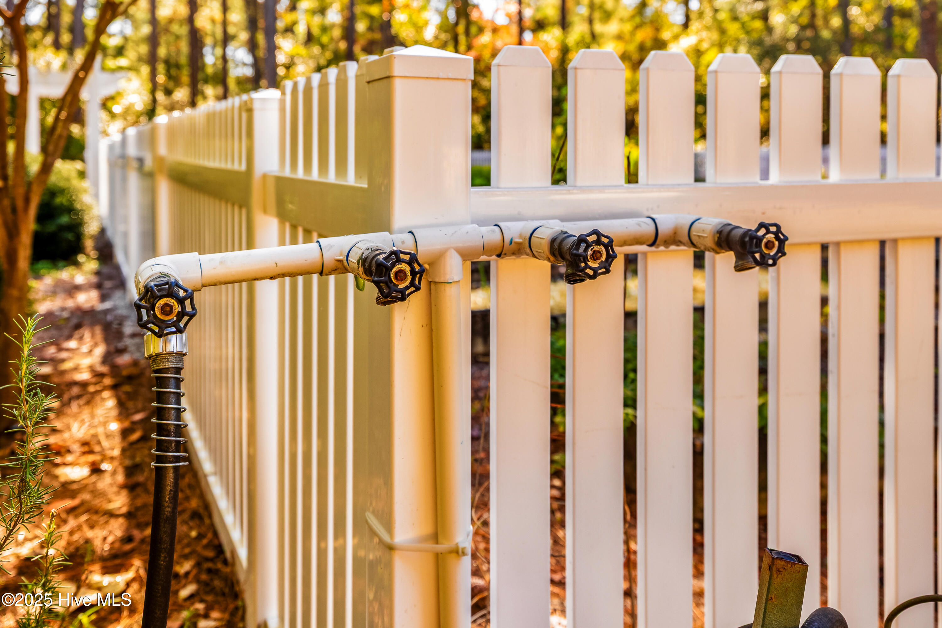 100540432 | Photo 49