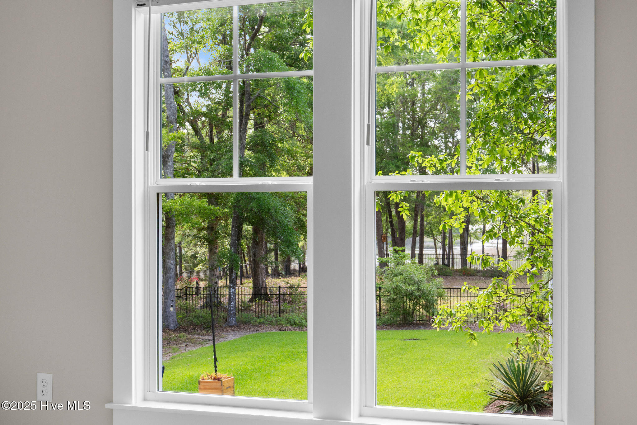 100524622 | Photo 39