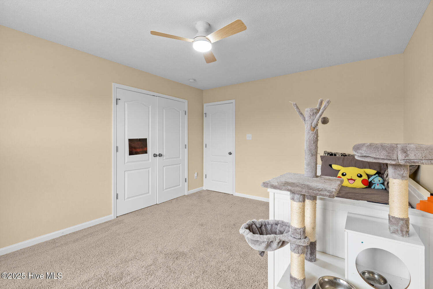 100535732 | Photo 41