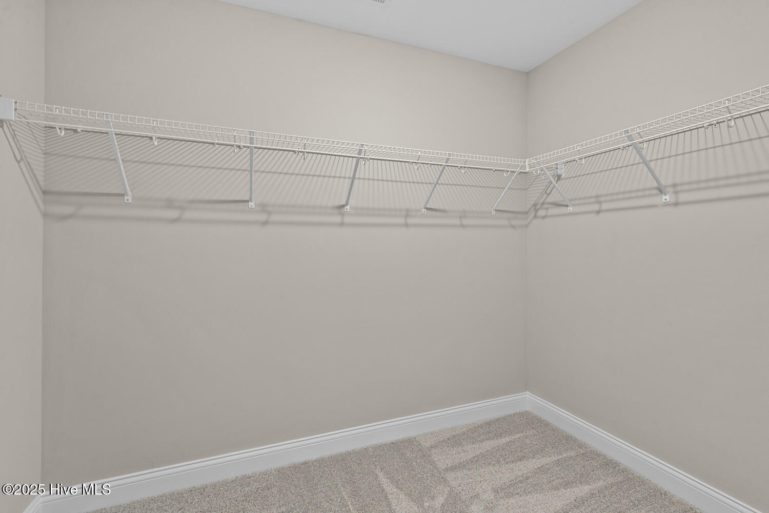 100469992 | Photo 25