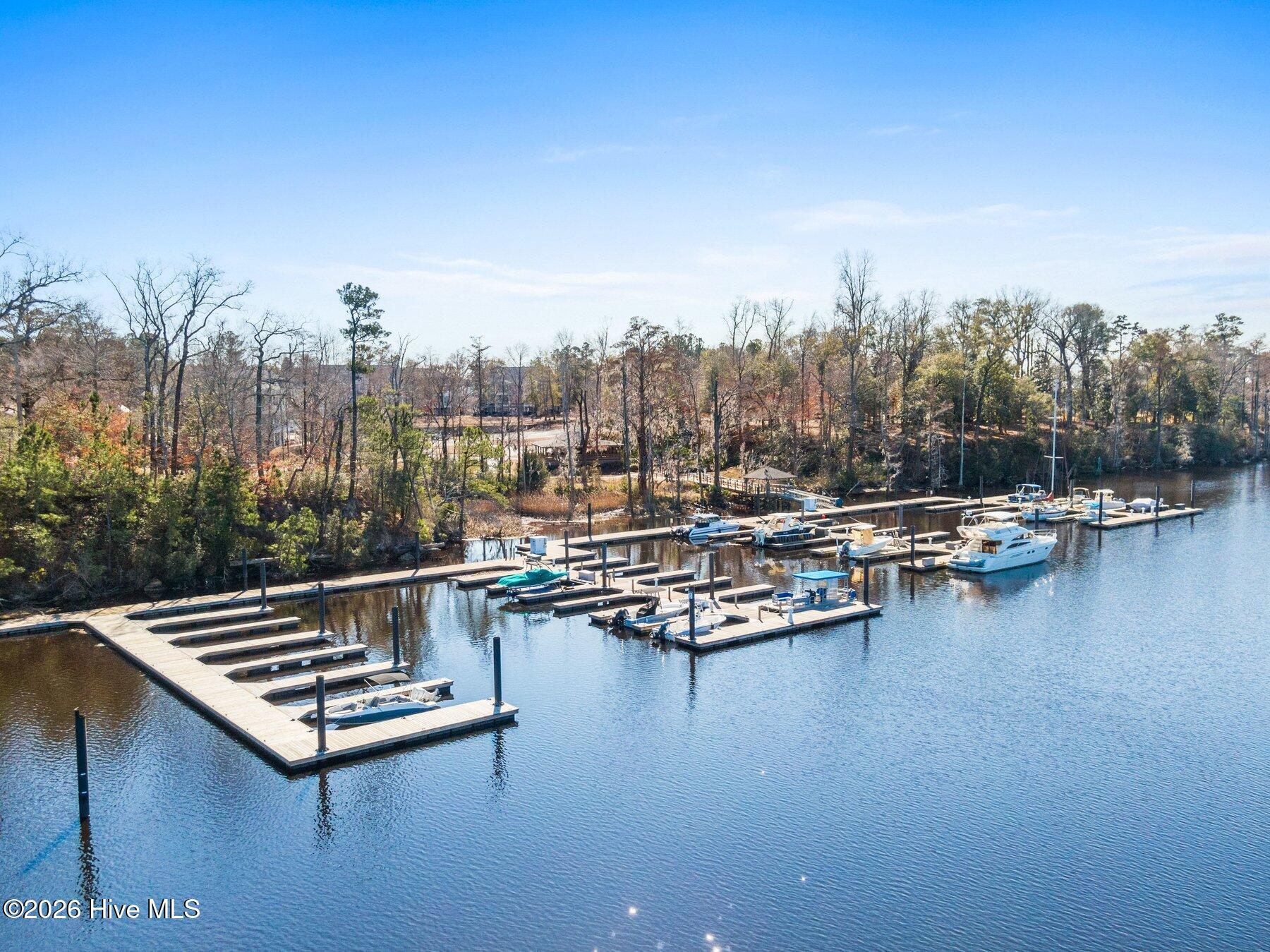 100553656 | Photo 50