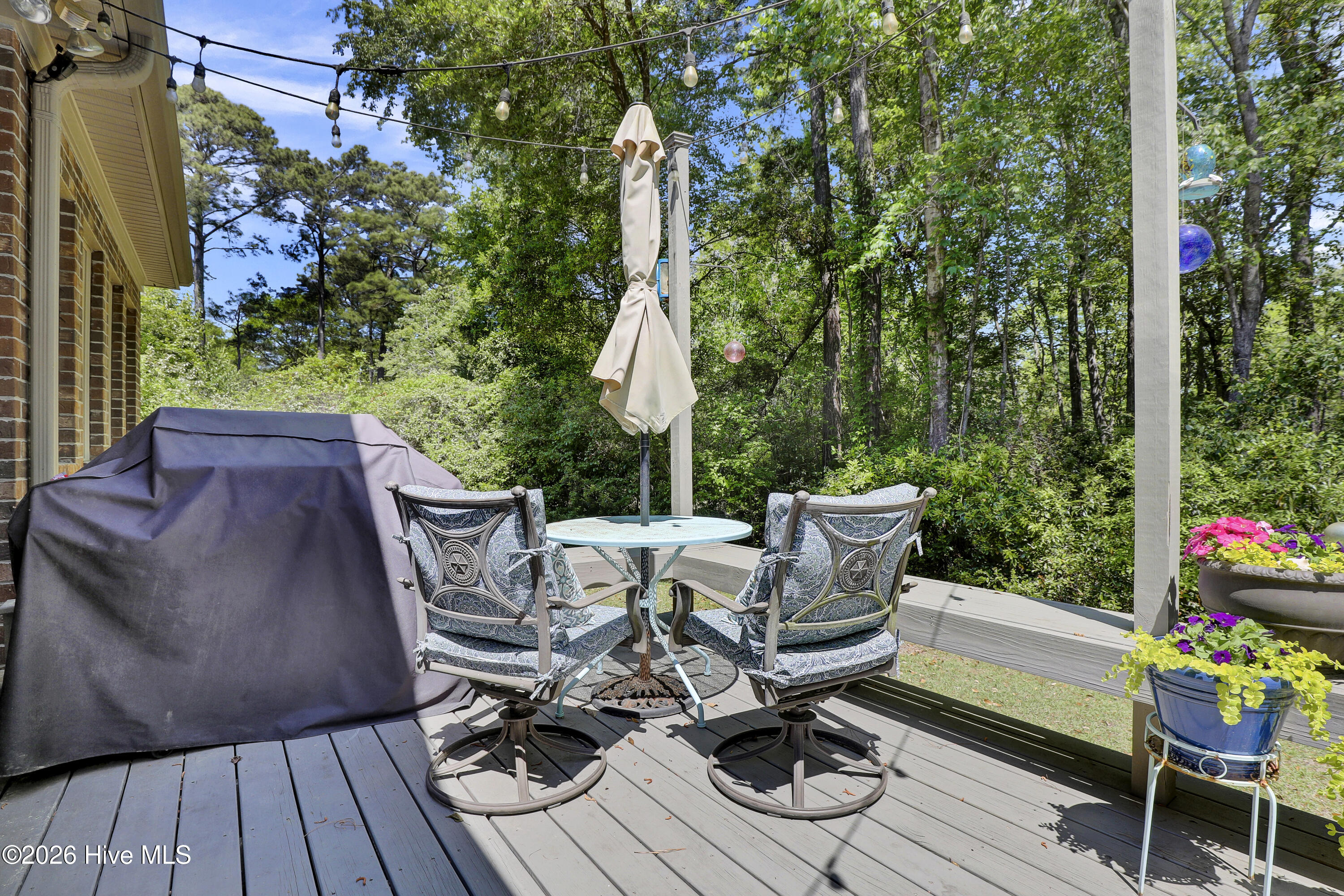 100570699 | Photo 39