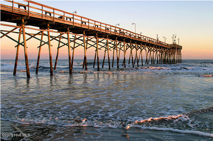 100538027 | Photo 61