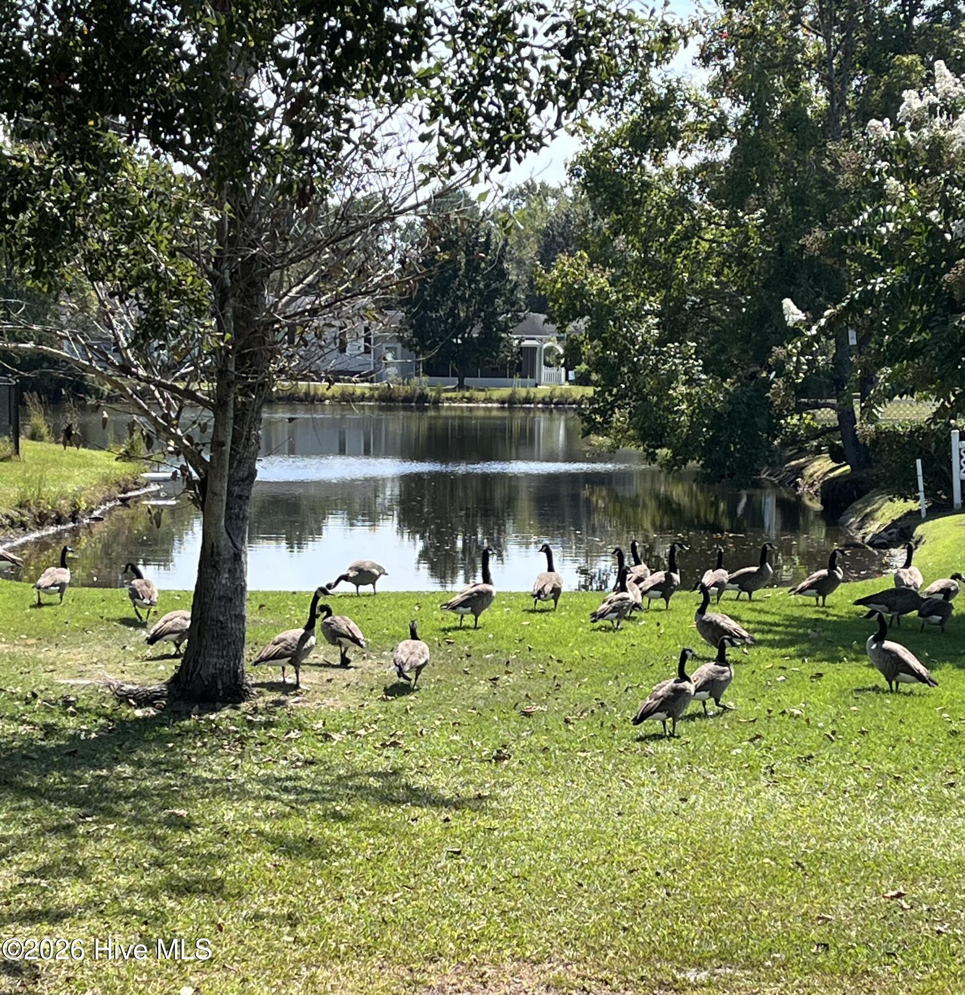 100562690 | Photo 27
