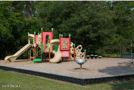 100563923 | Photo 23