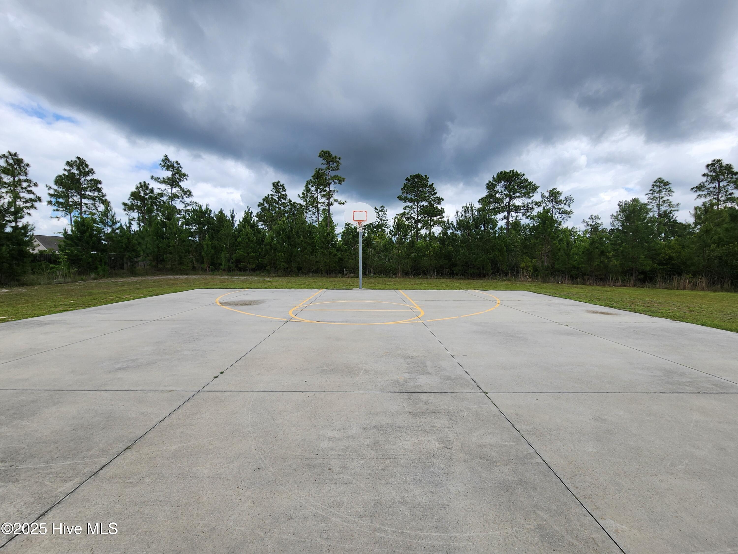 100563623 | Photo 41