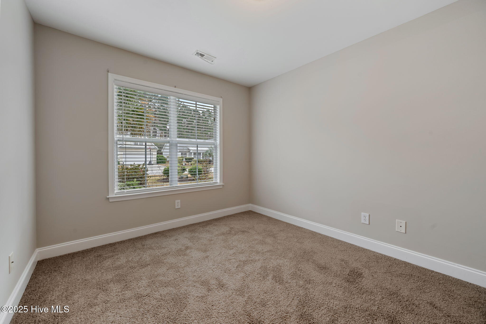 100525052 | Photo 24