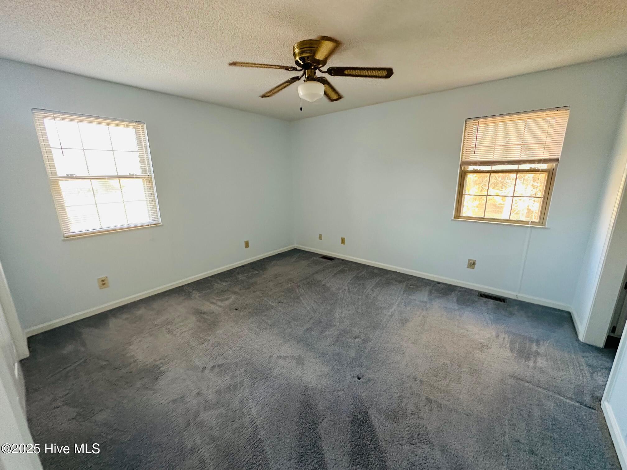 100542135 | Photo 21