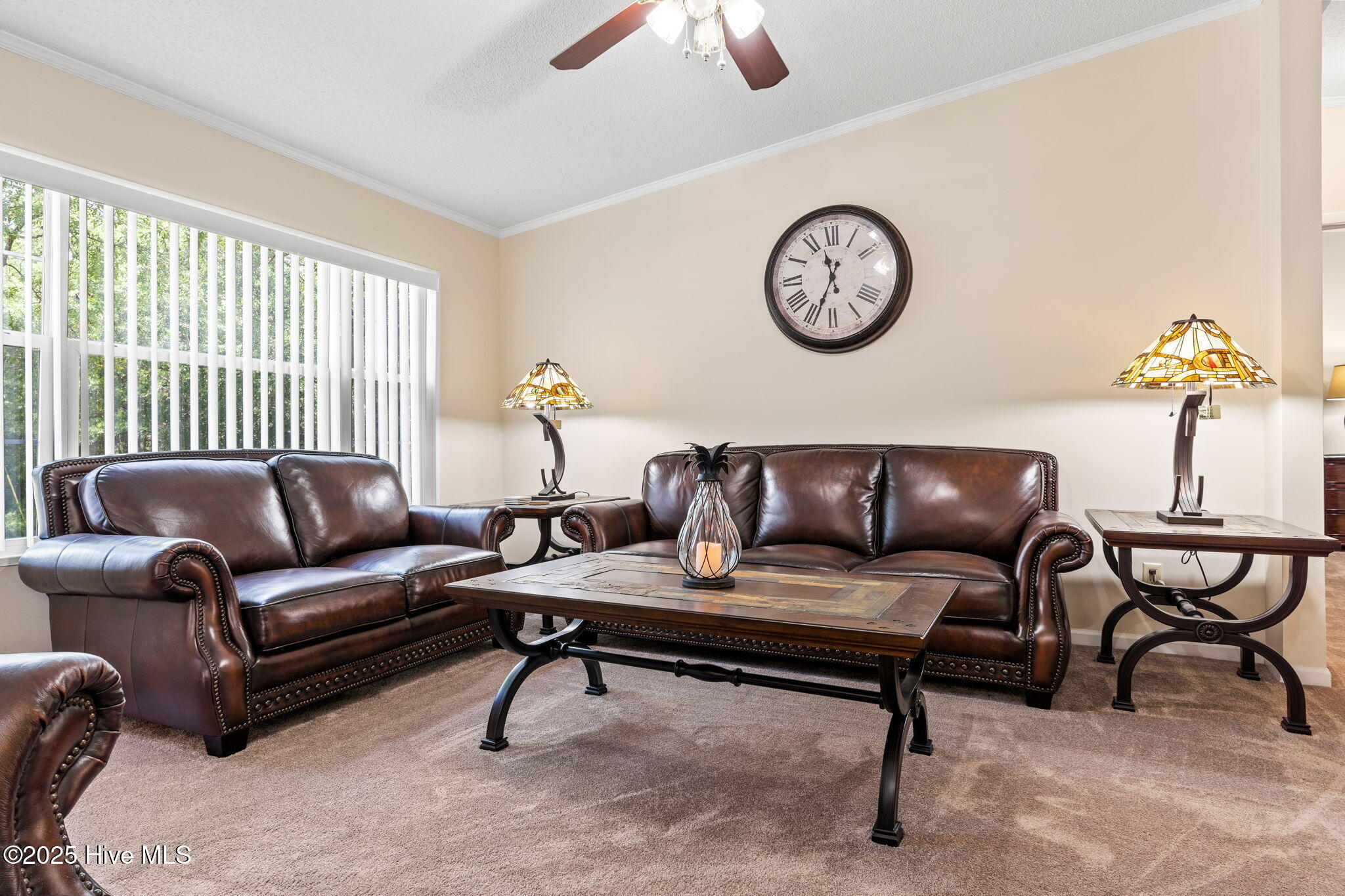 100515279 | Photo 20