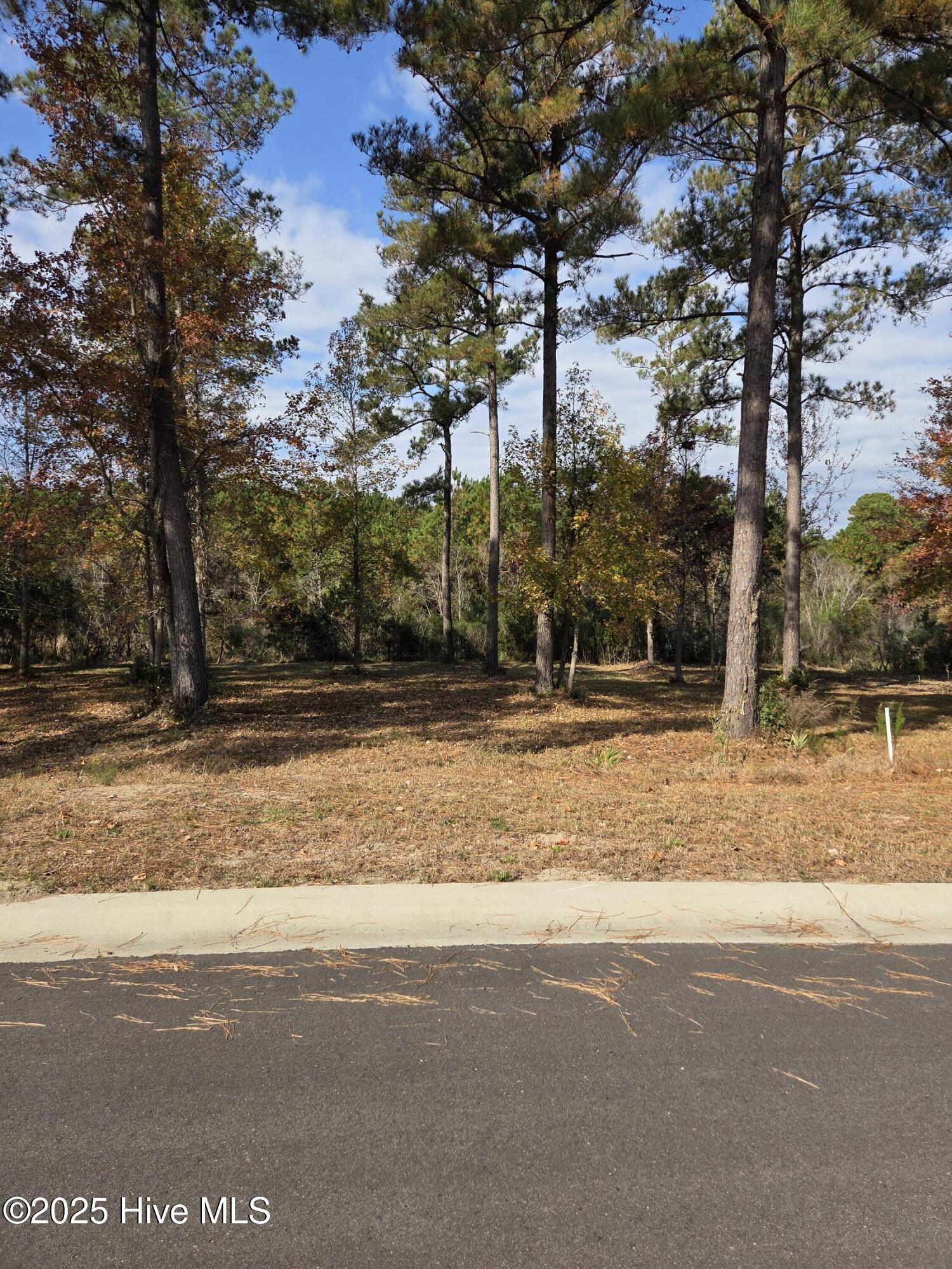 Carolina Barrier Islands
