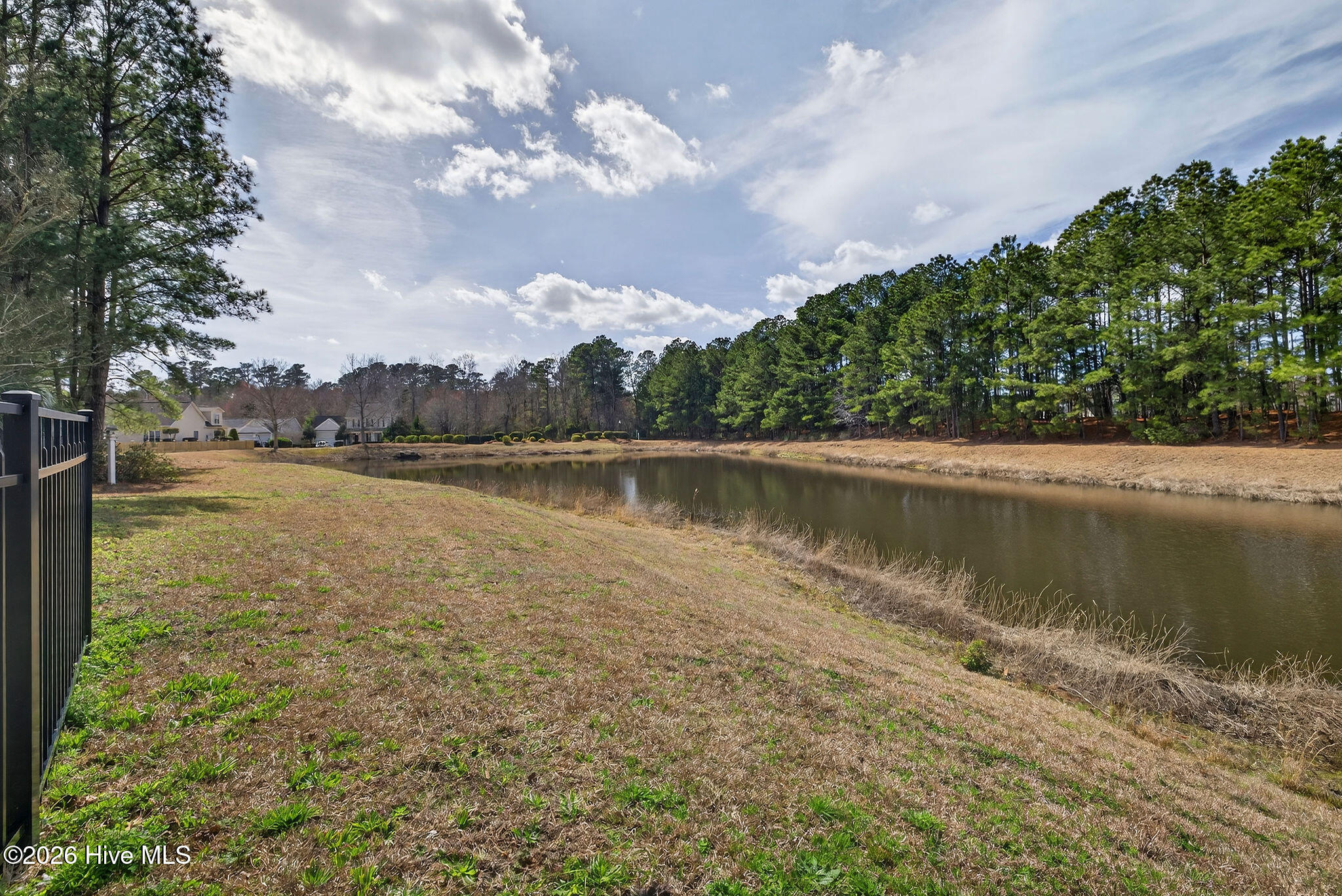 100558563 | Photo 22