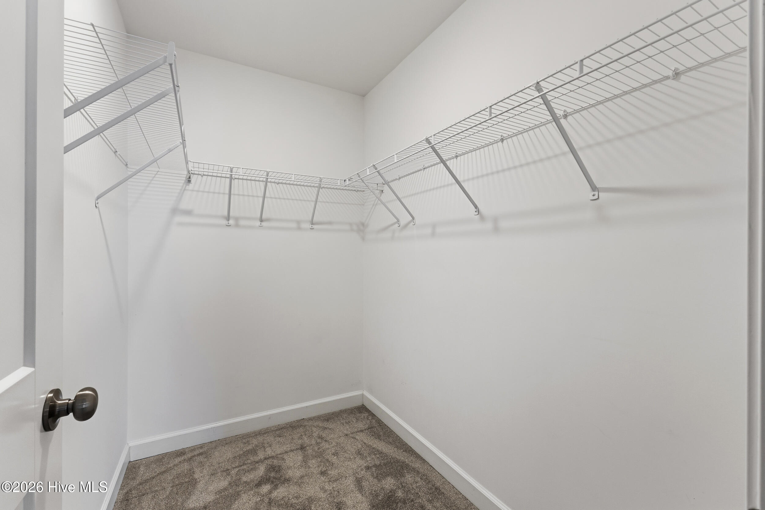 100558693 | Photo 22