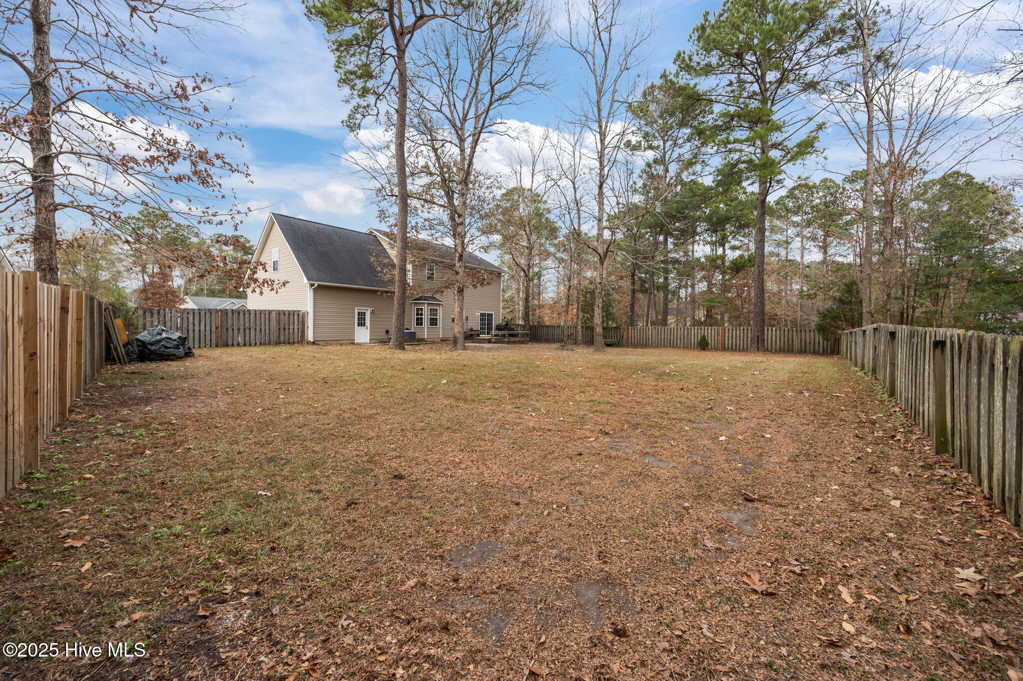 100544131 | Photo 45