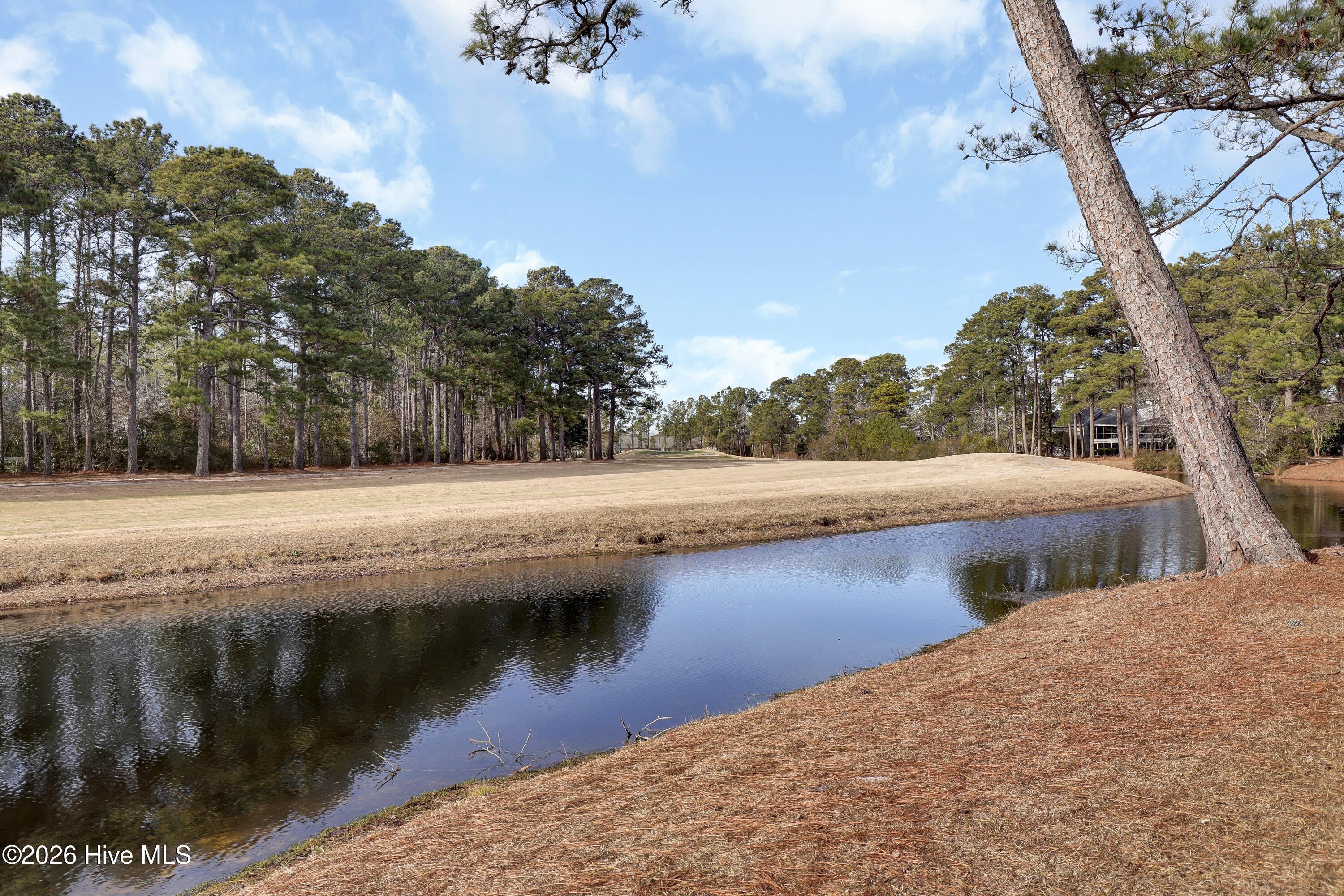 100549280 | Photo 33