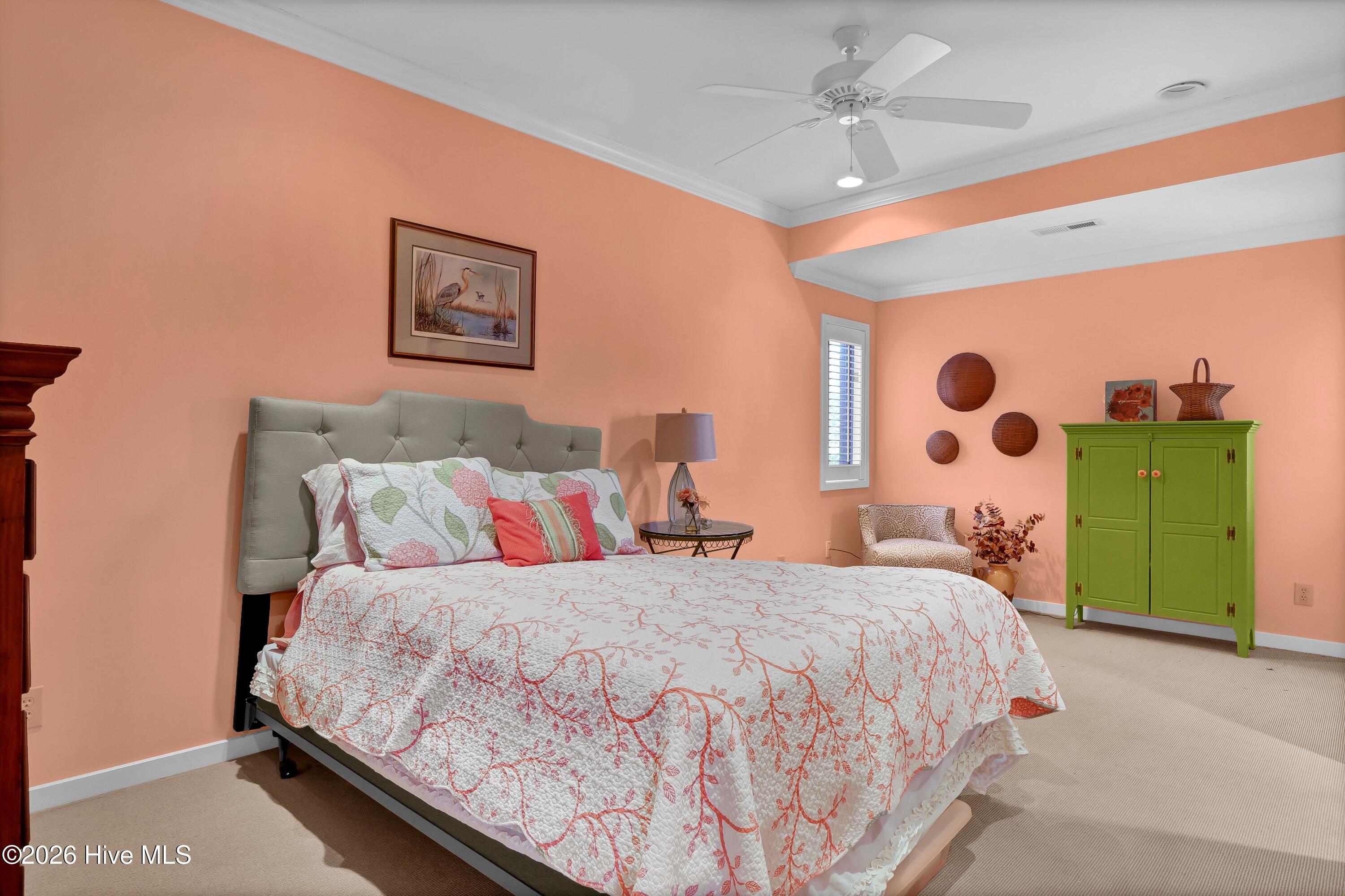 100555584 | Photo 17