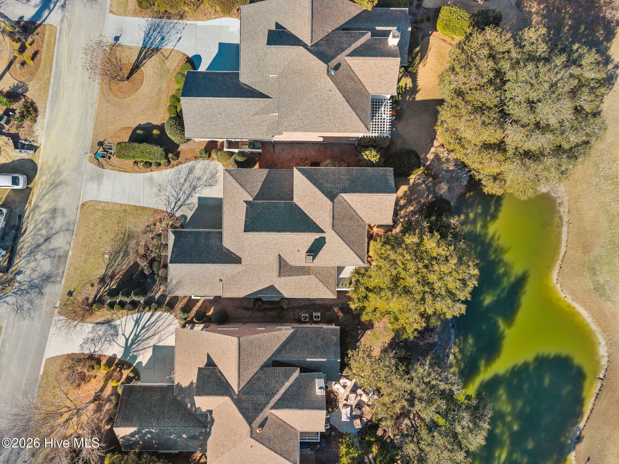 100554468 | Photo 63