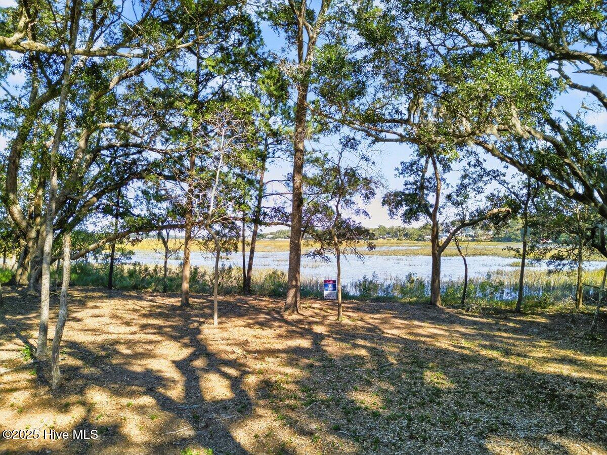 100536937 | Photo 17