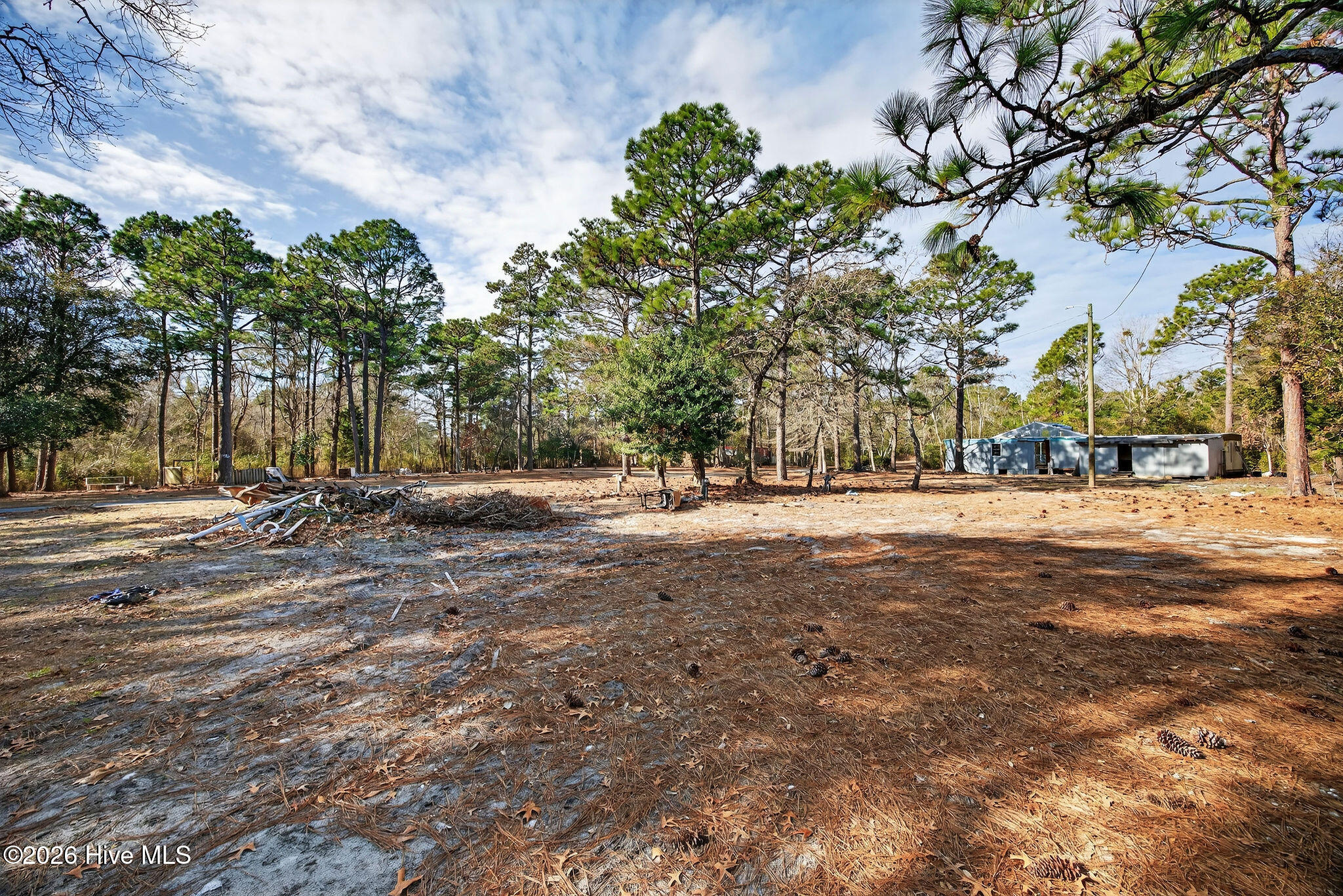 100552398 | Photo 36