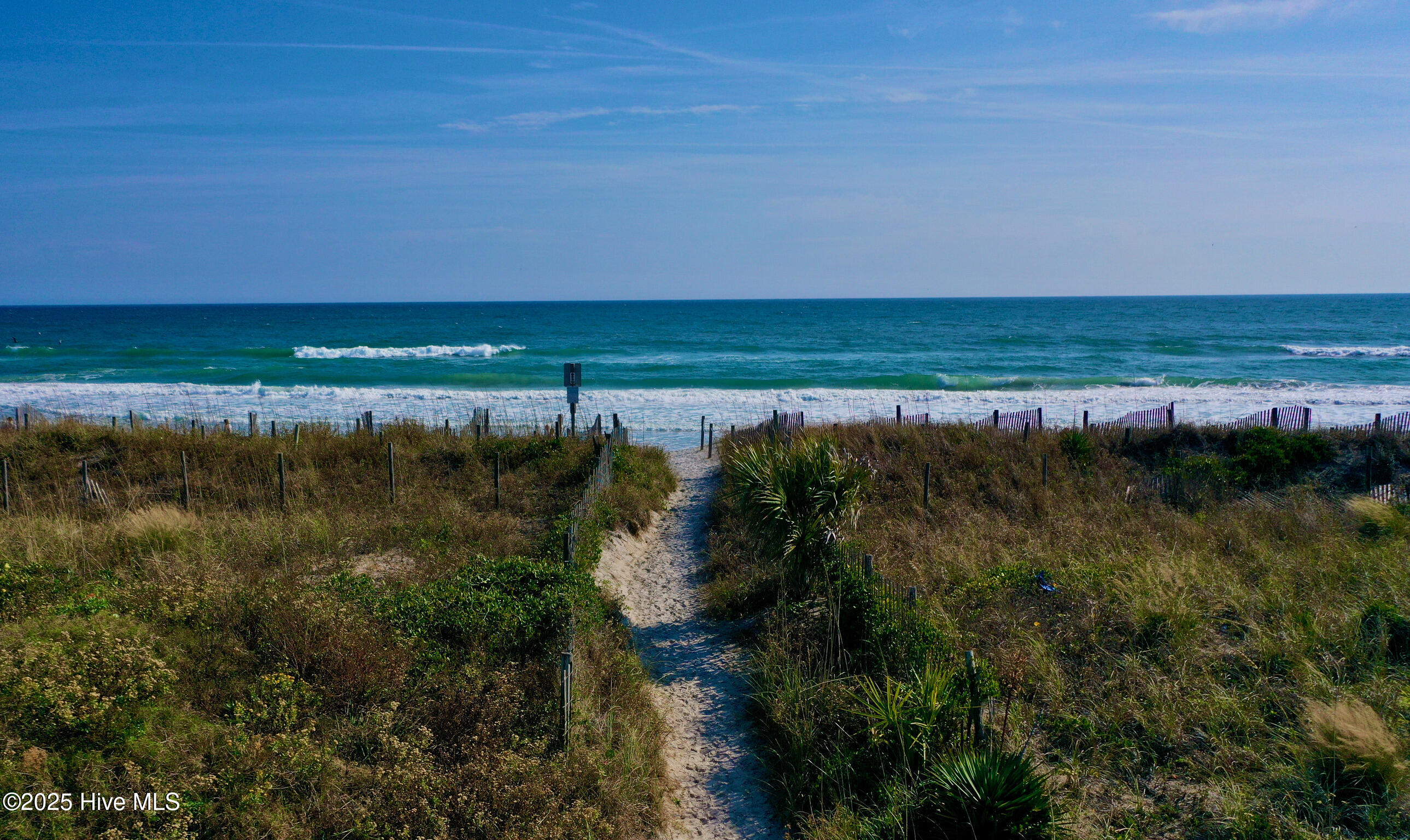 100543231 | Photo 10