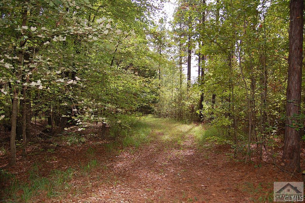Bethany Church Road, Lincolnton, GA 30817 Listing Photo  1
