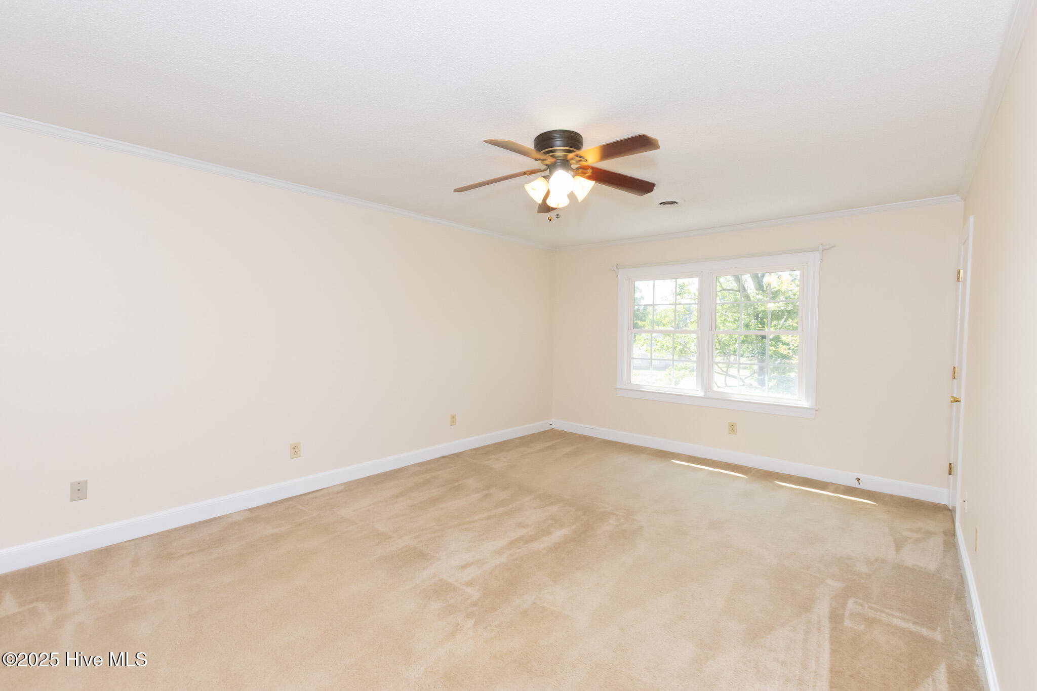 100506266 | Photo 41