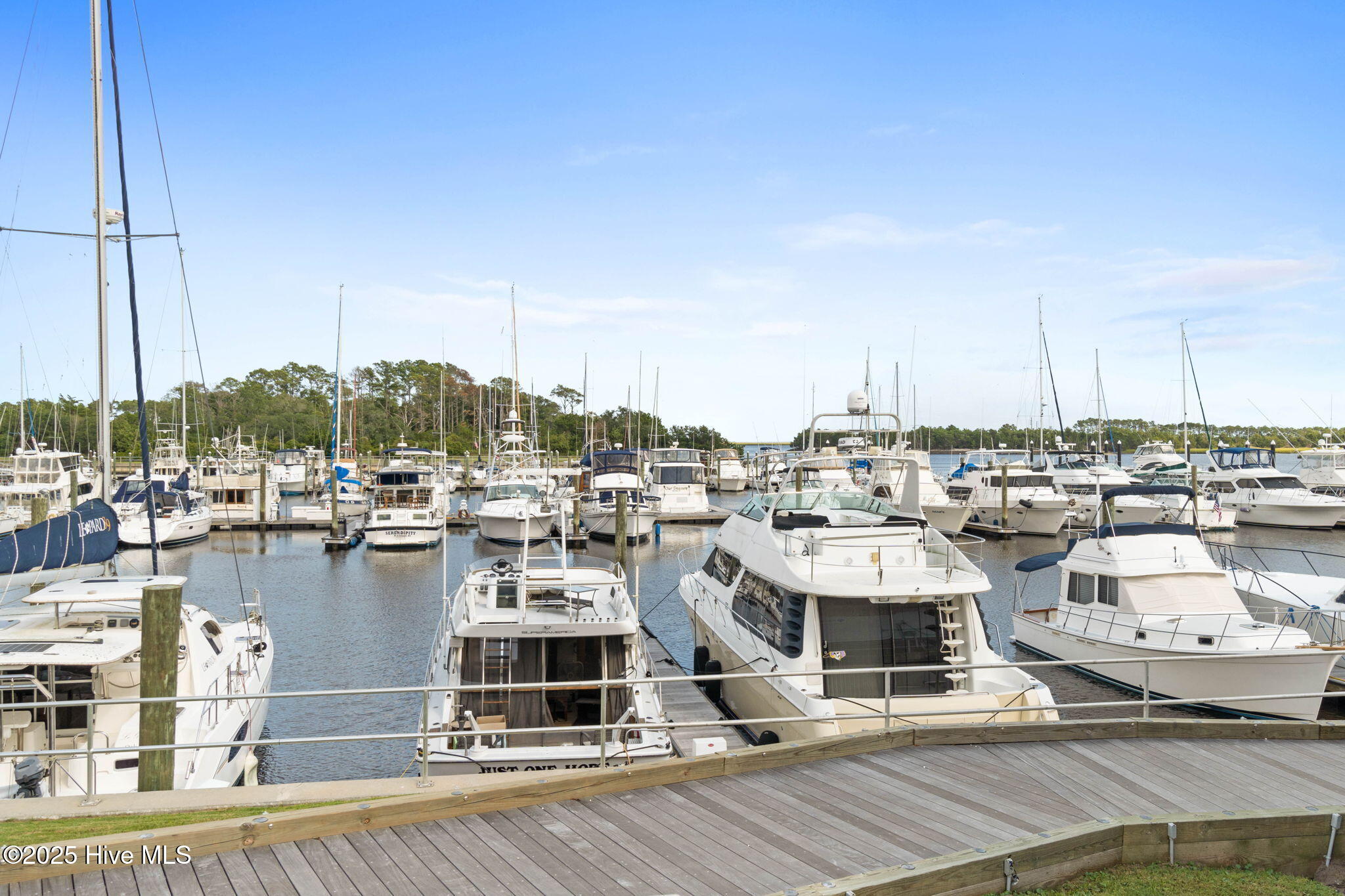 100526864 | Photo 67