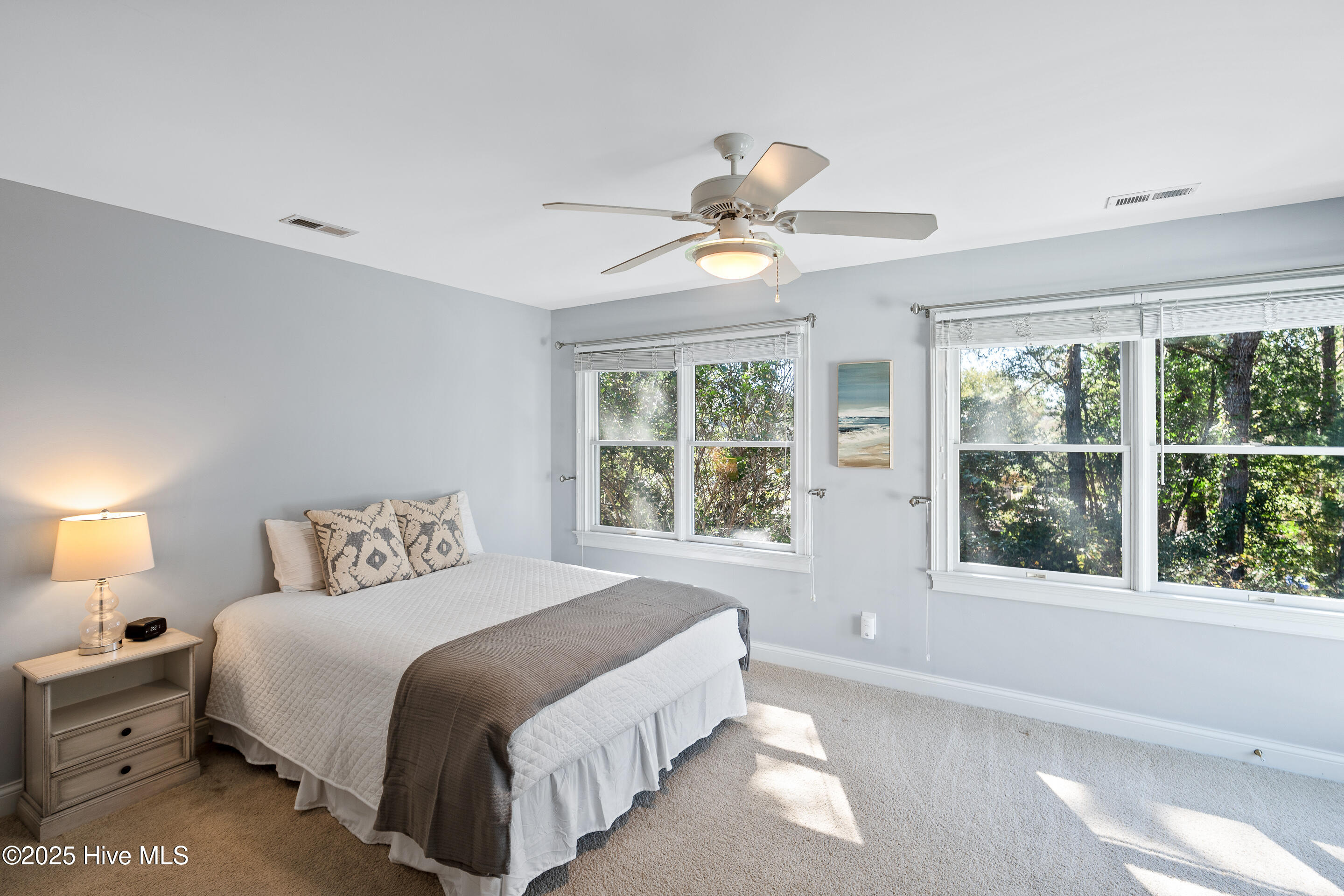 100534537 | Photo 35