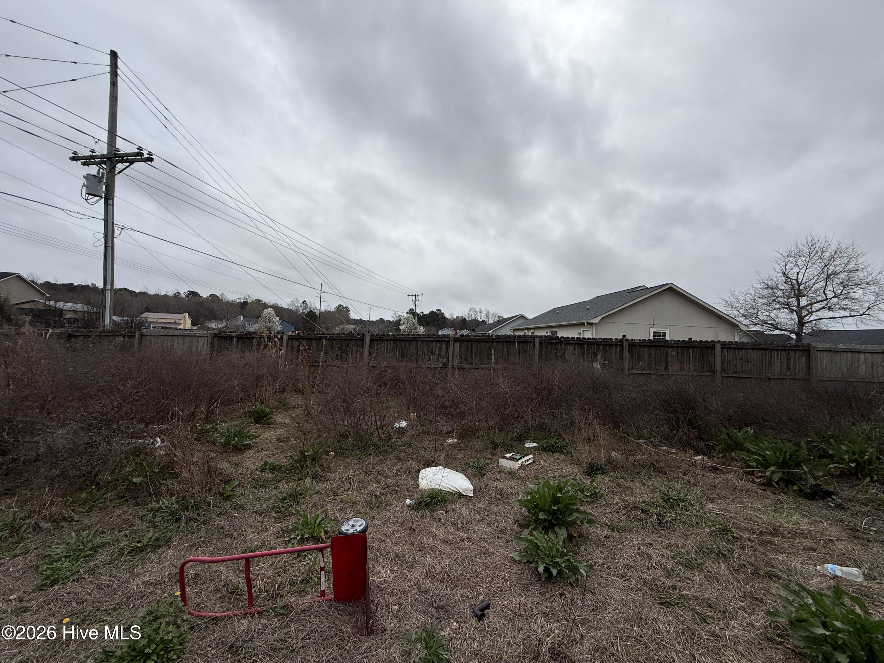 100562239 | Photo 14