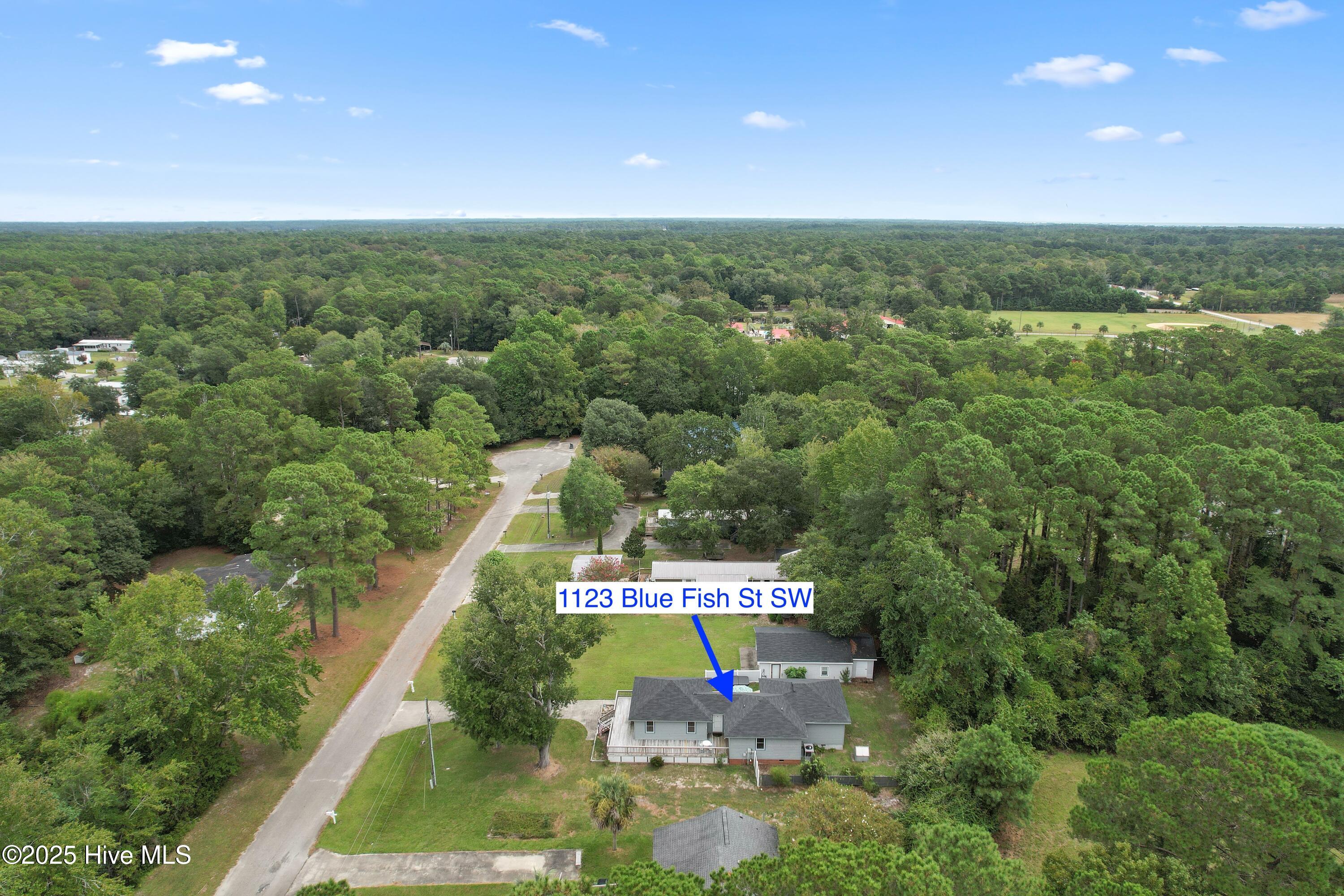 100530130 | Photo 52