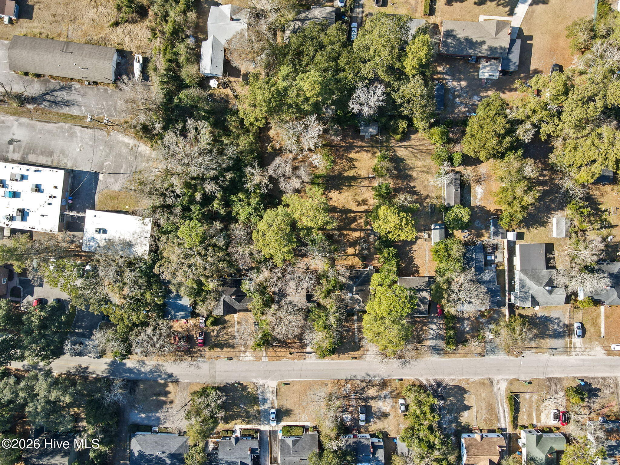 100555429 | Photo 34