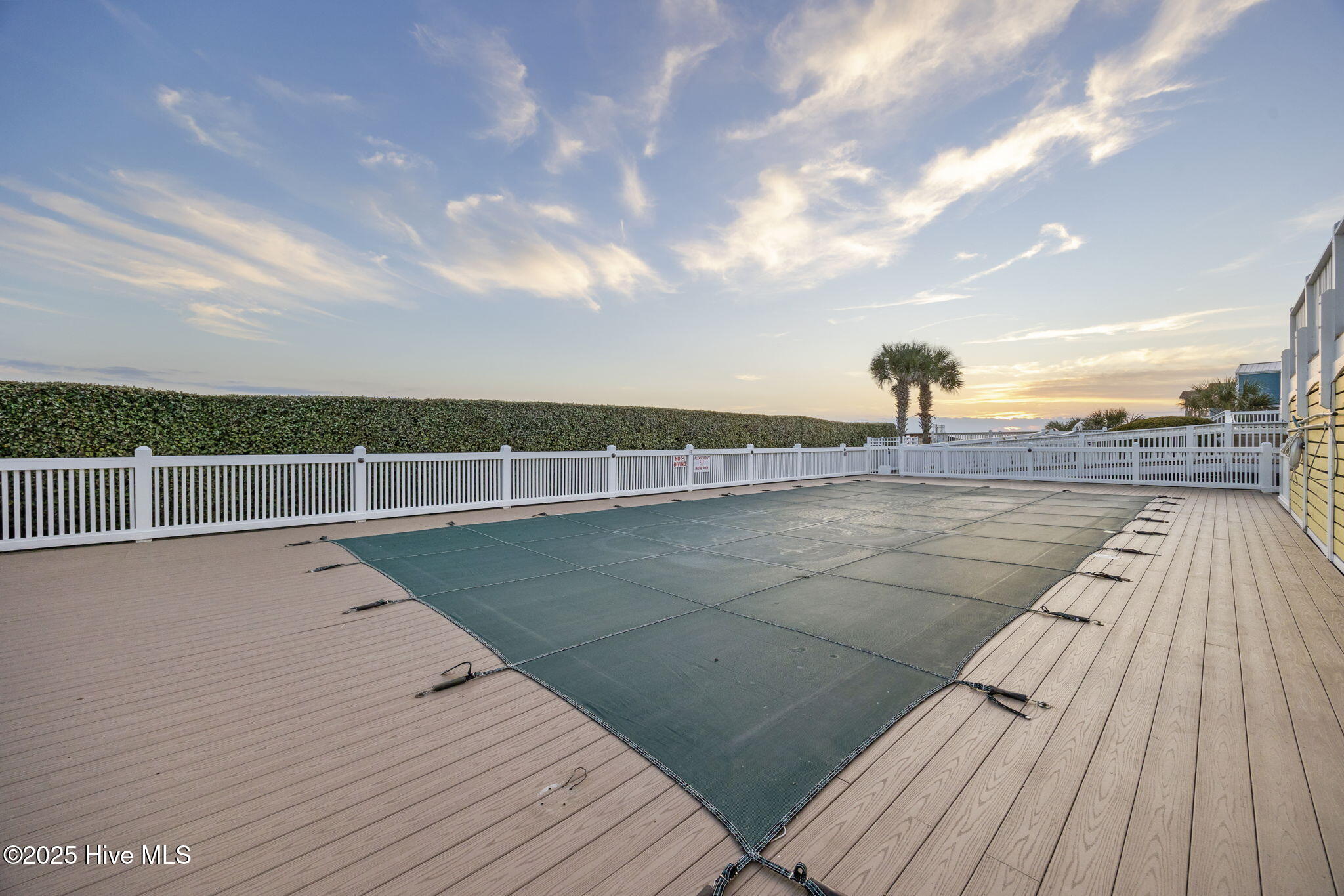 100542443 | Photo 44