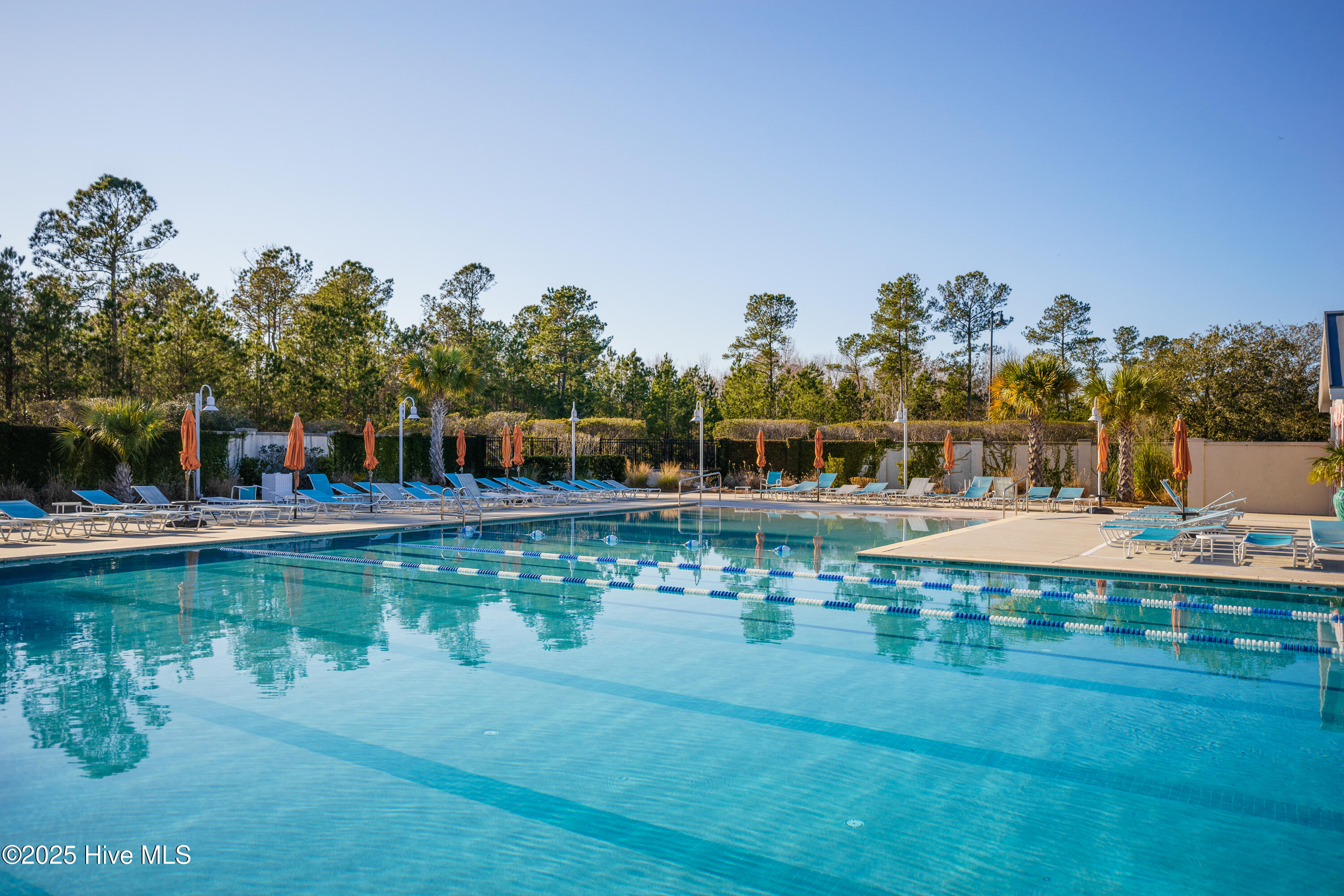 100527898 | Photo 82