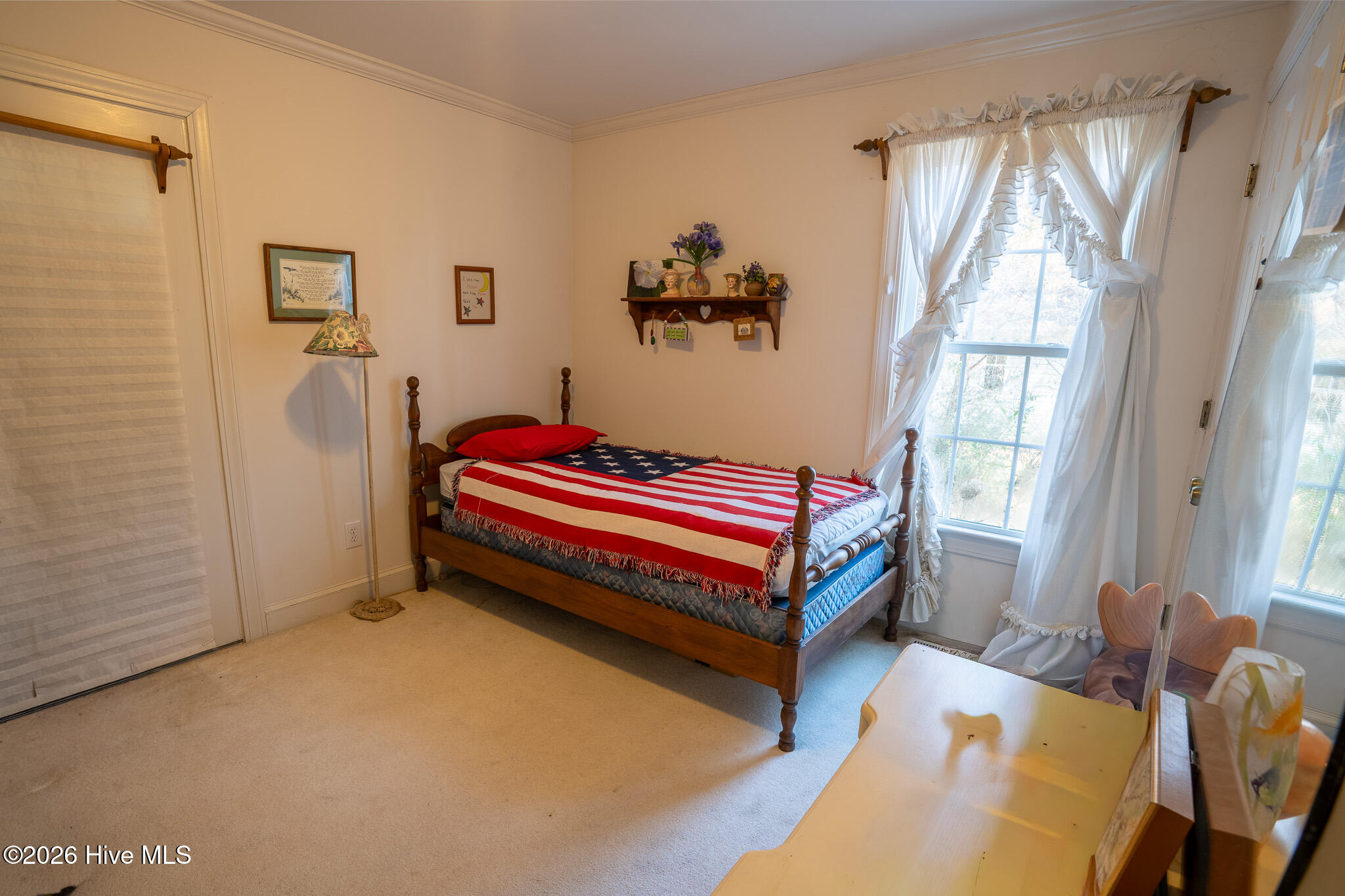 100558507 | Photo 11