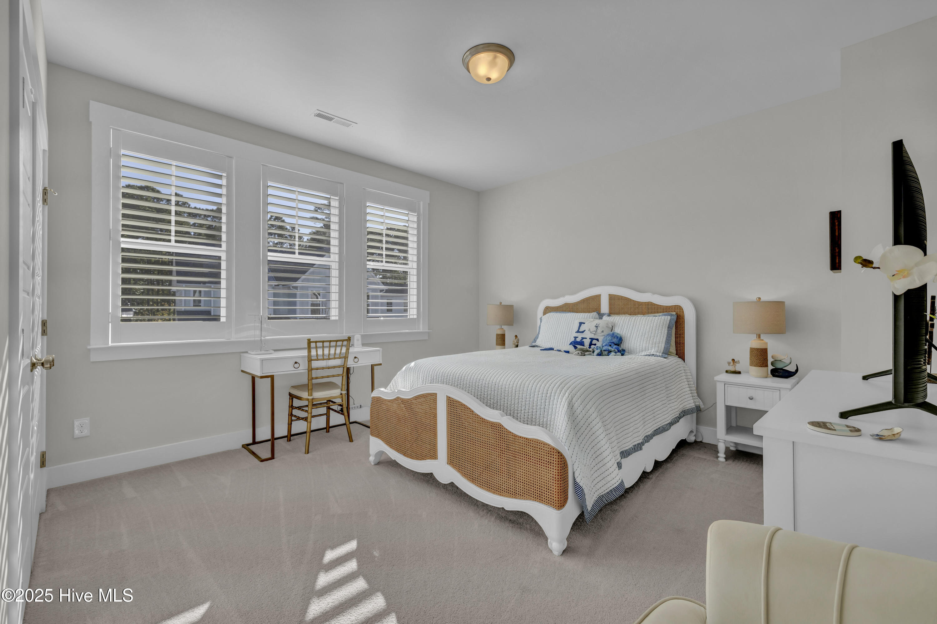 100541296 | Photo 26