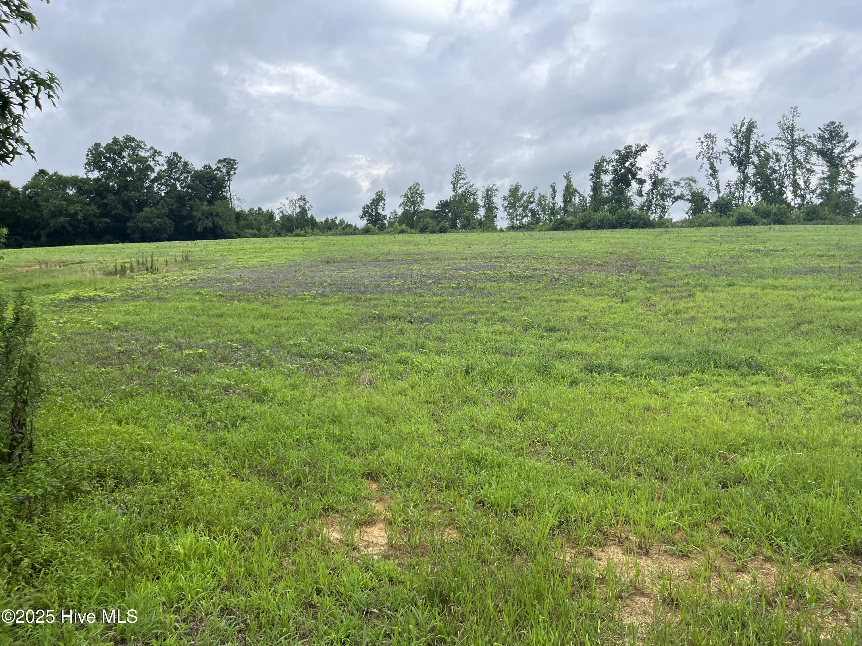 3508 Sheep Pasture Road, Spring Hope, NC, 27882