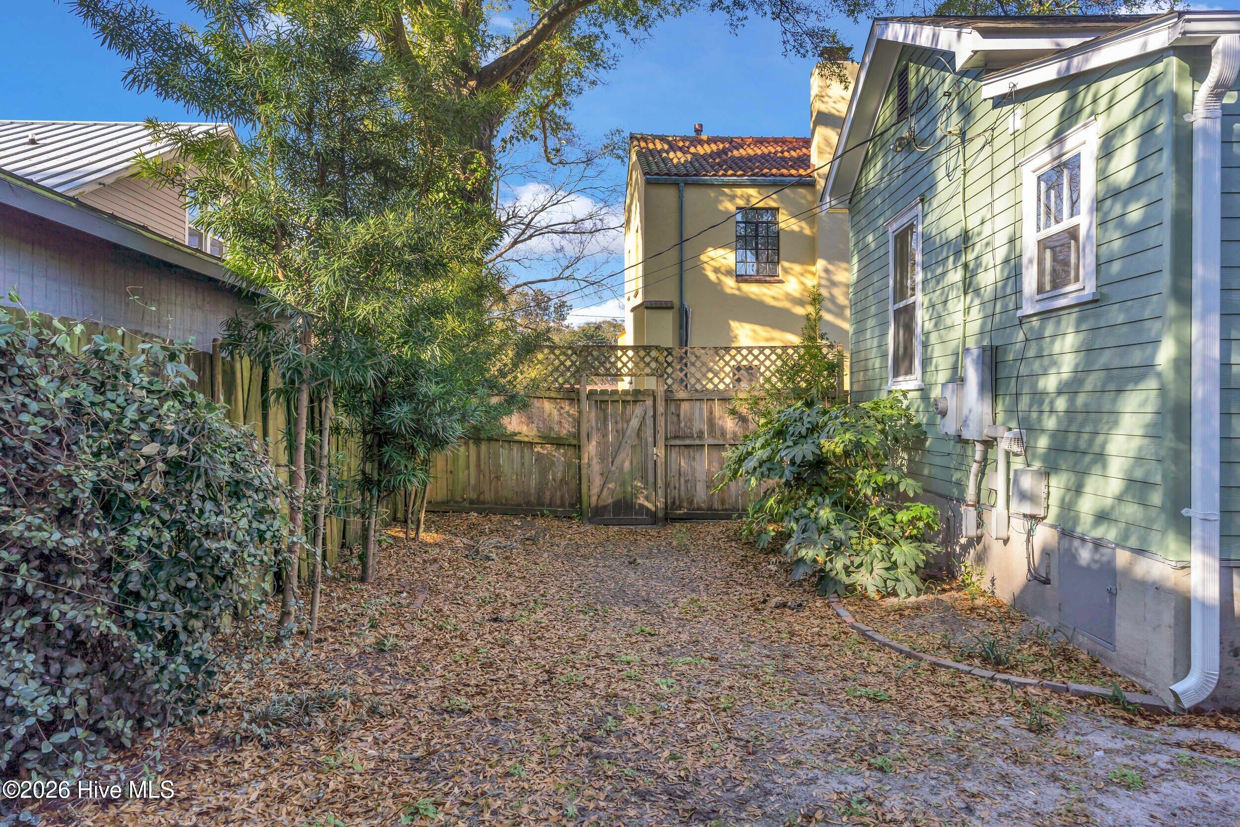 100528129 | Photo 47