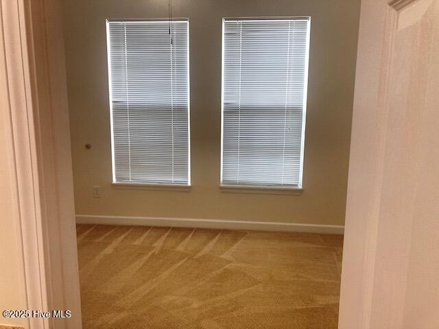 100517374 | Photo 13