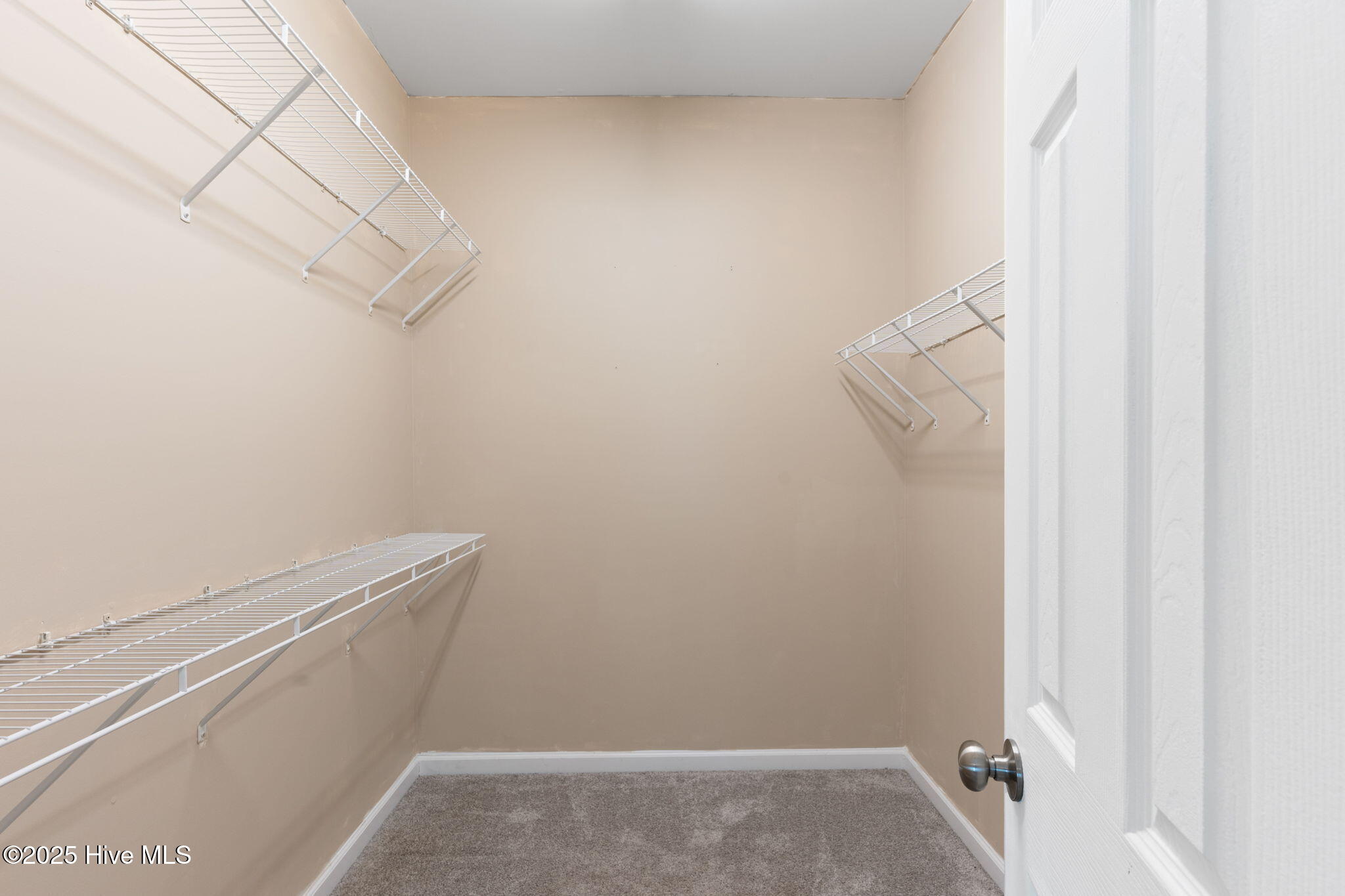 100501996 | Photo 30