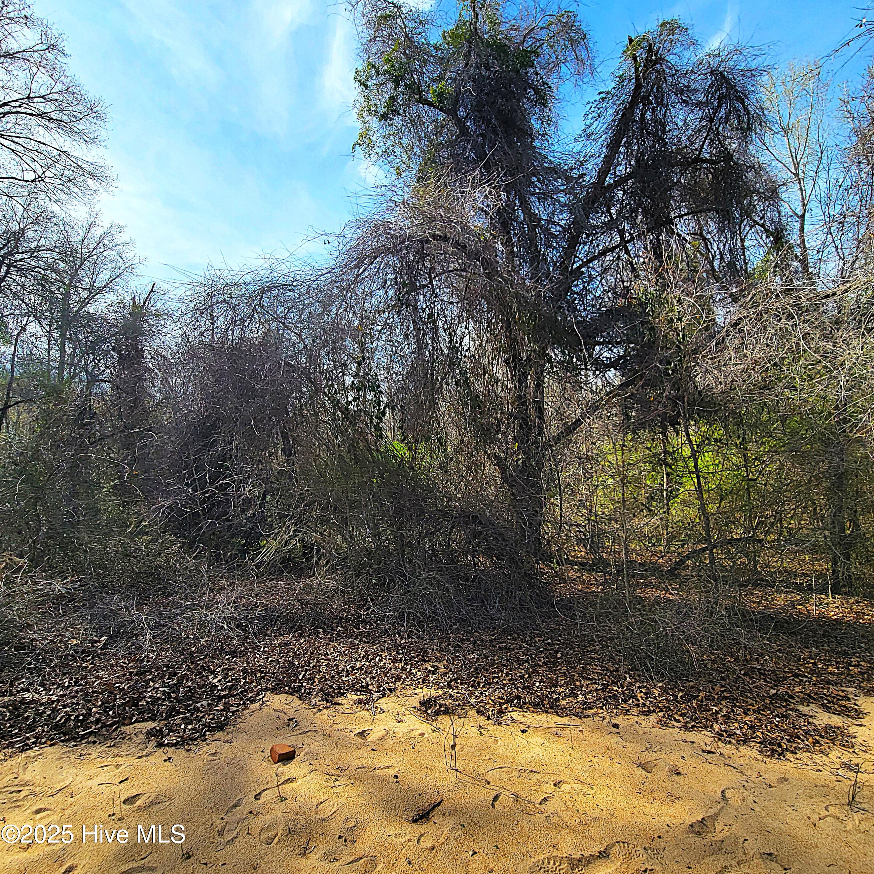 100496184 | Photo 22