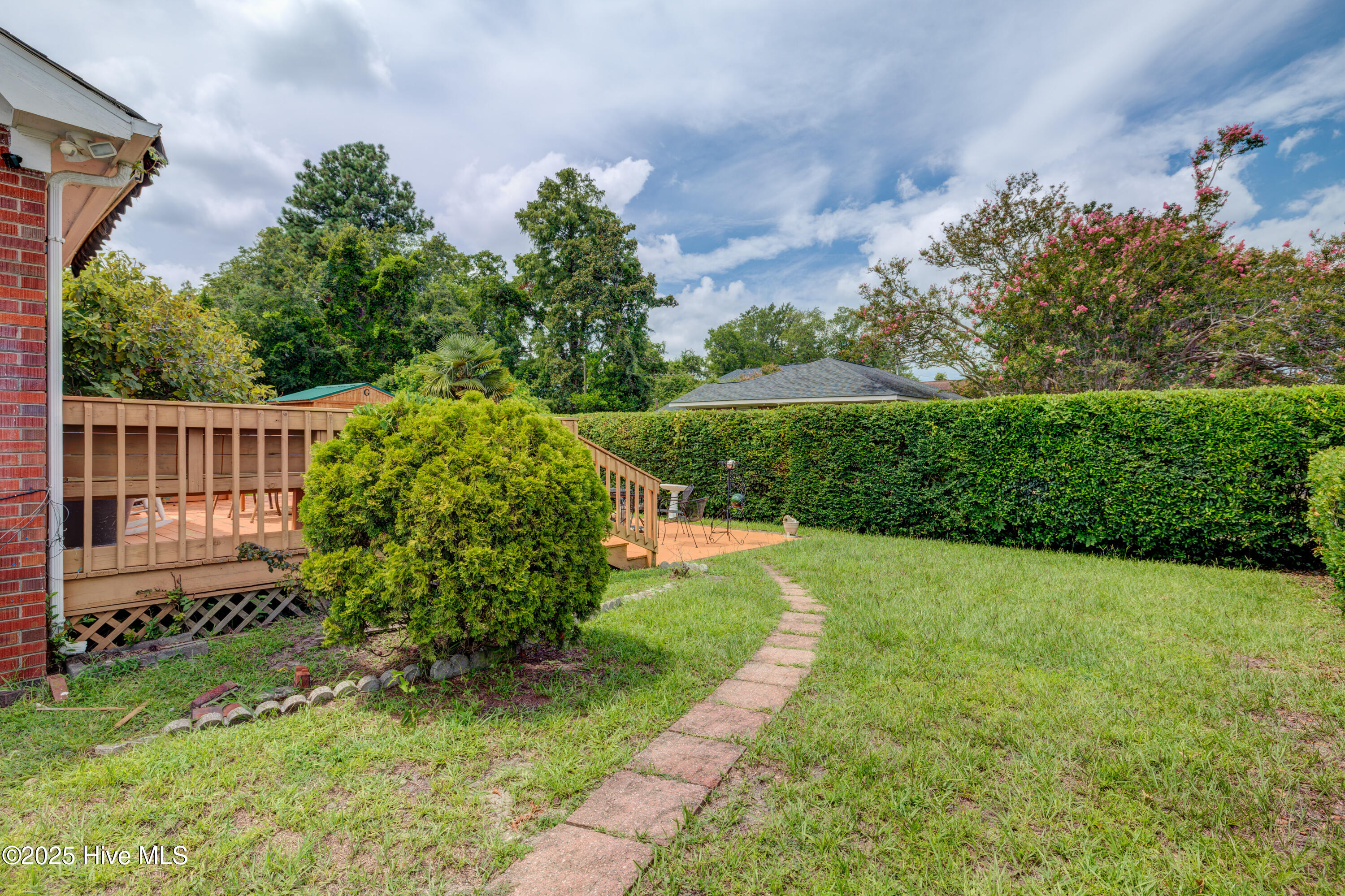 100523931 | Photo 39