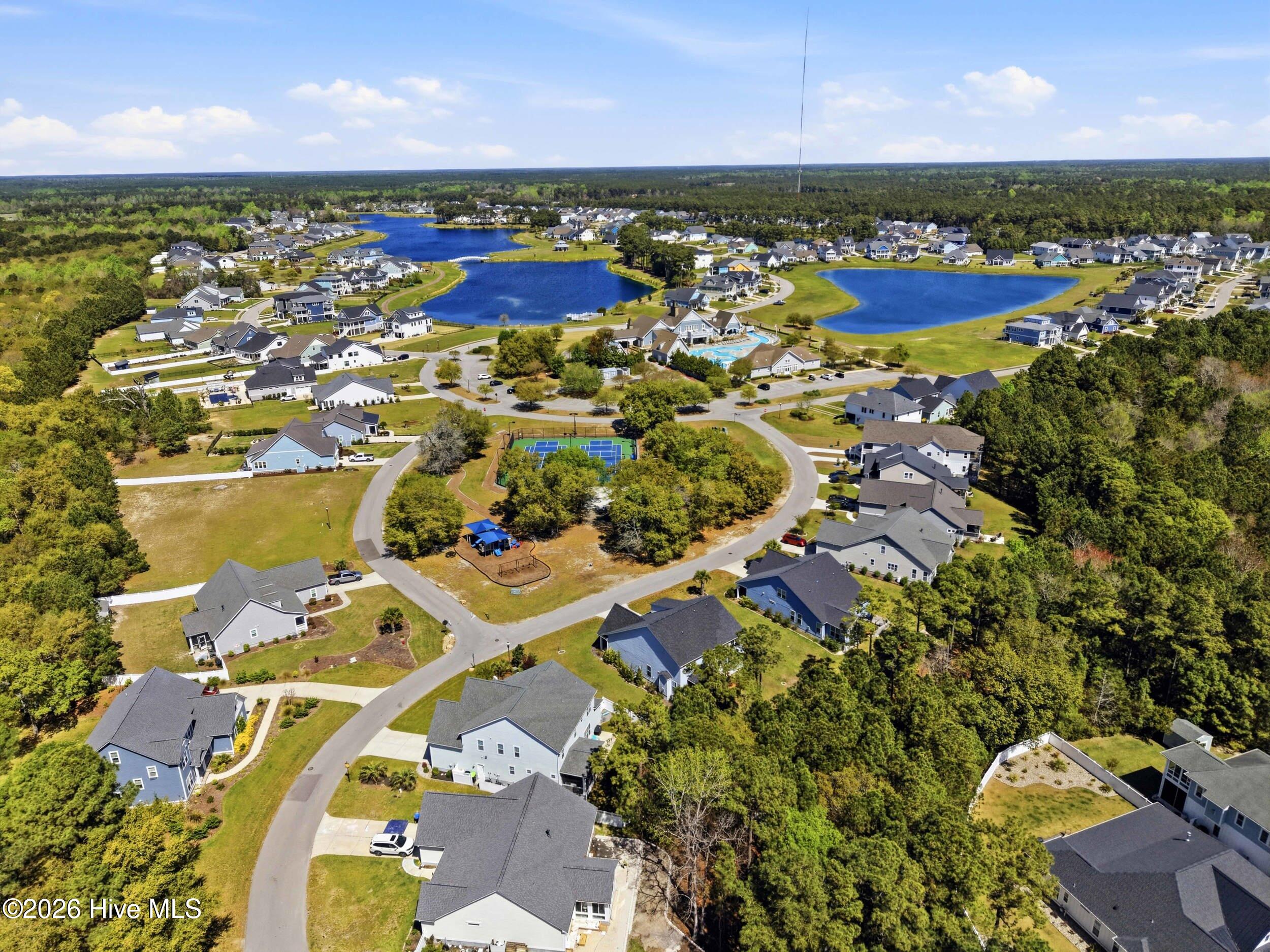 100565471 | Photo 68