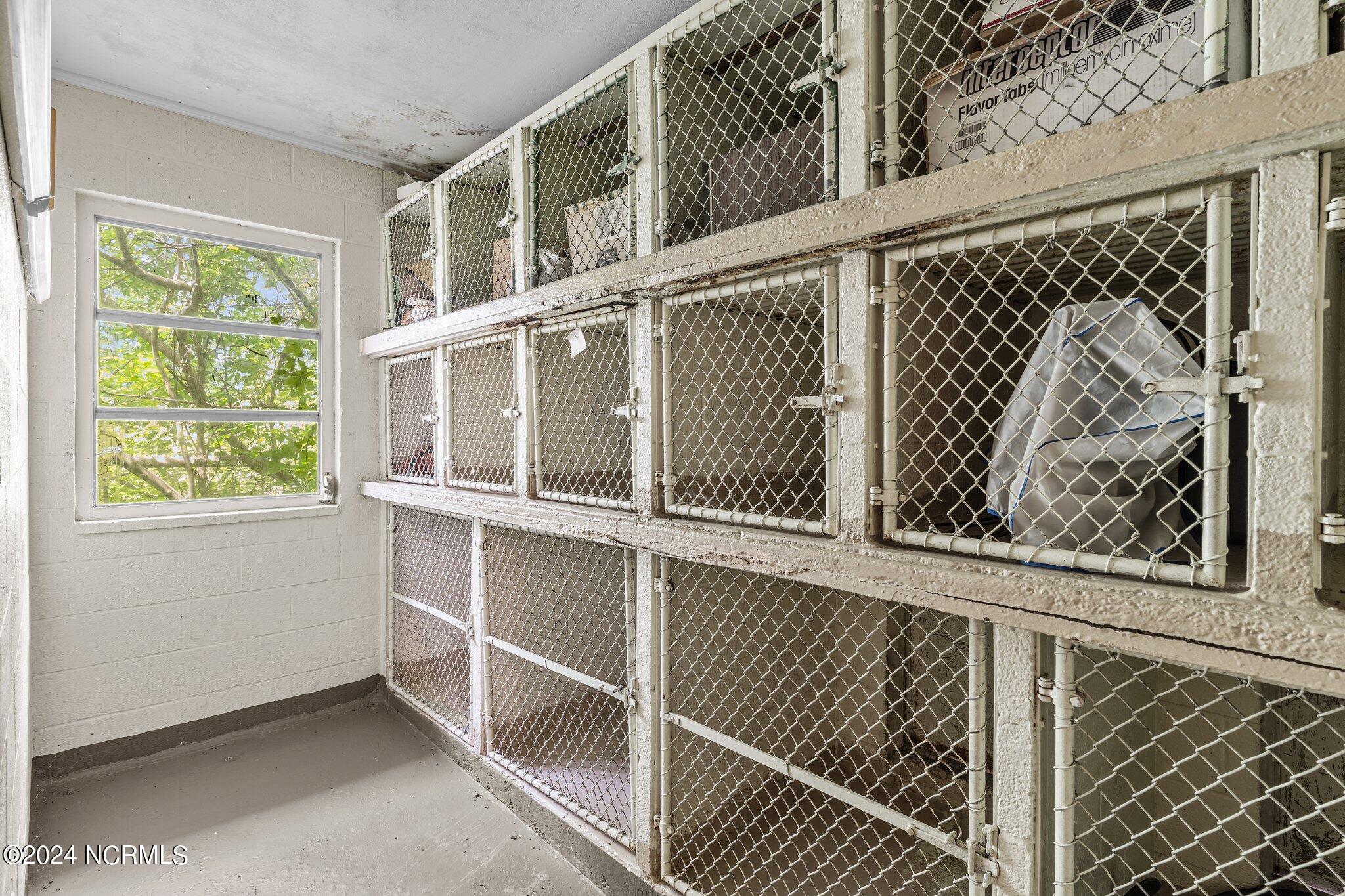 100517313 | Photo 31