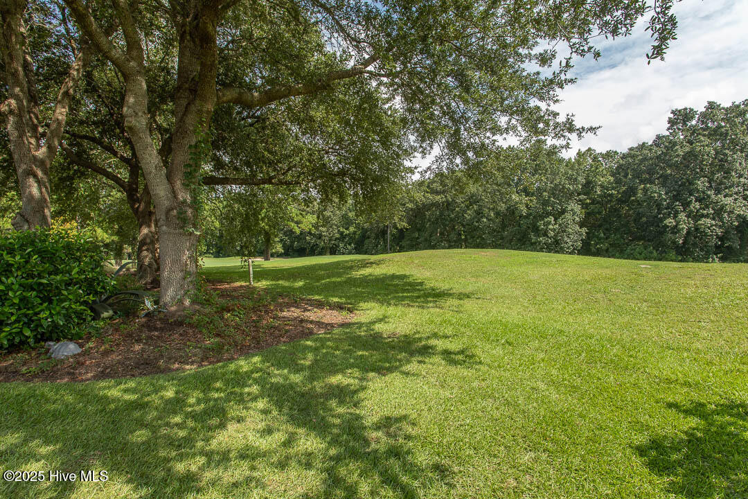 100526043 | Photo 56