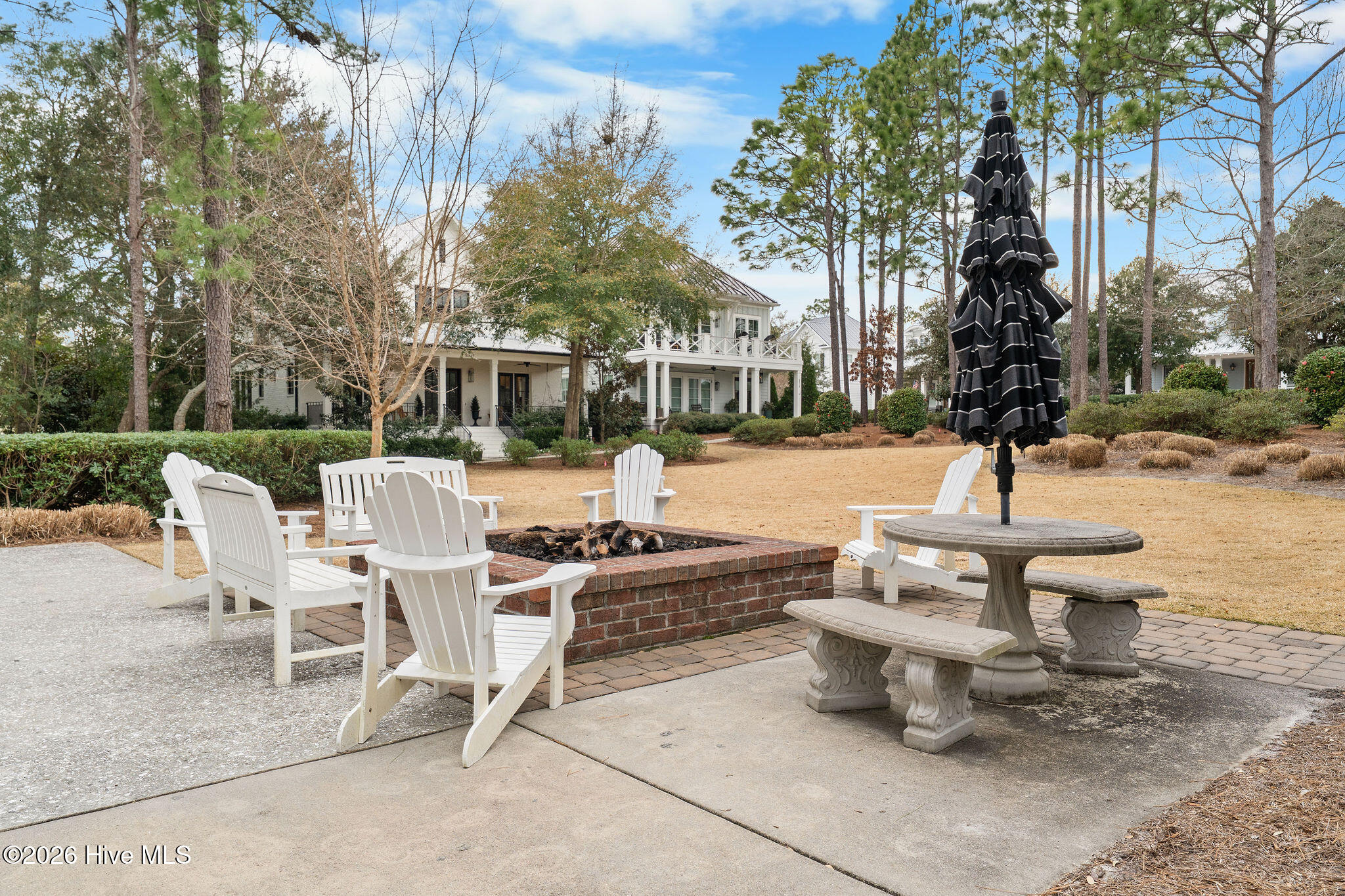 100553604 | Photo 86